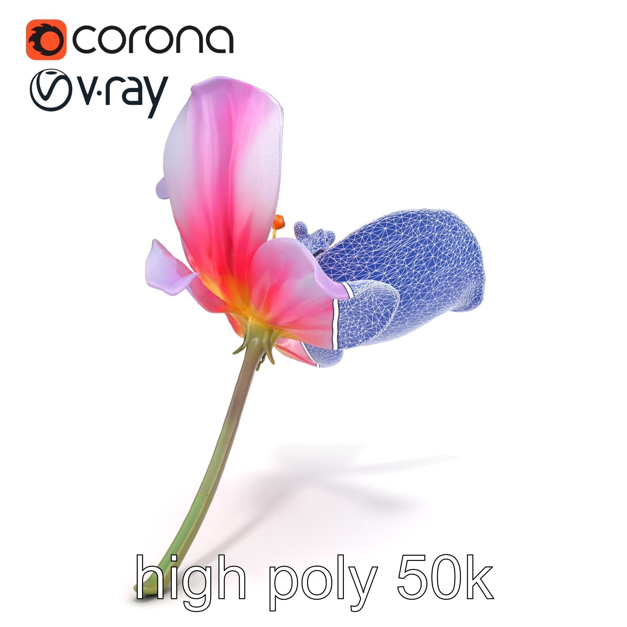 Enchanted Mystical Flower with Translucent Petals model pack Low-poly 3D model_28
