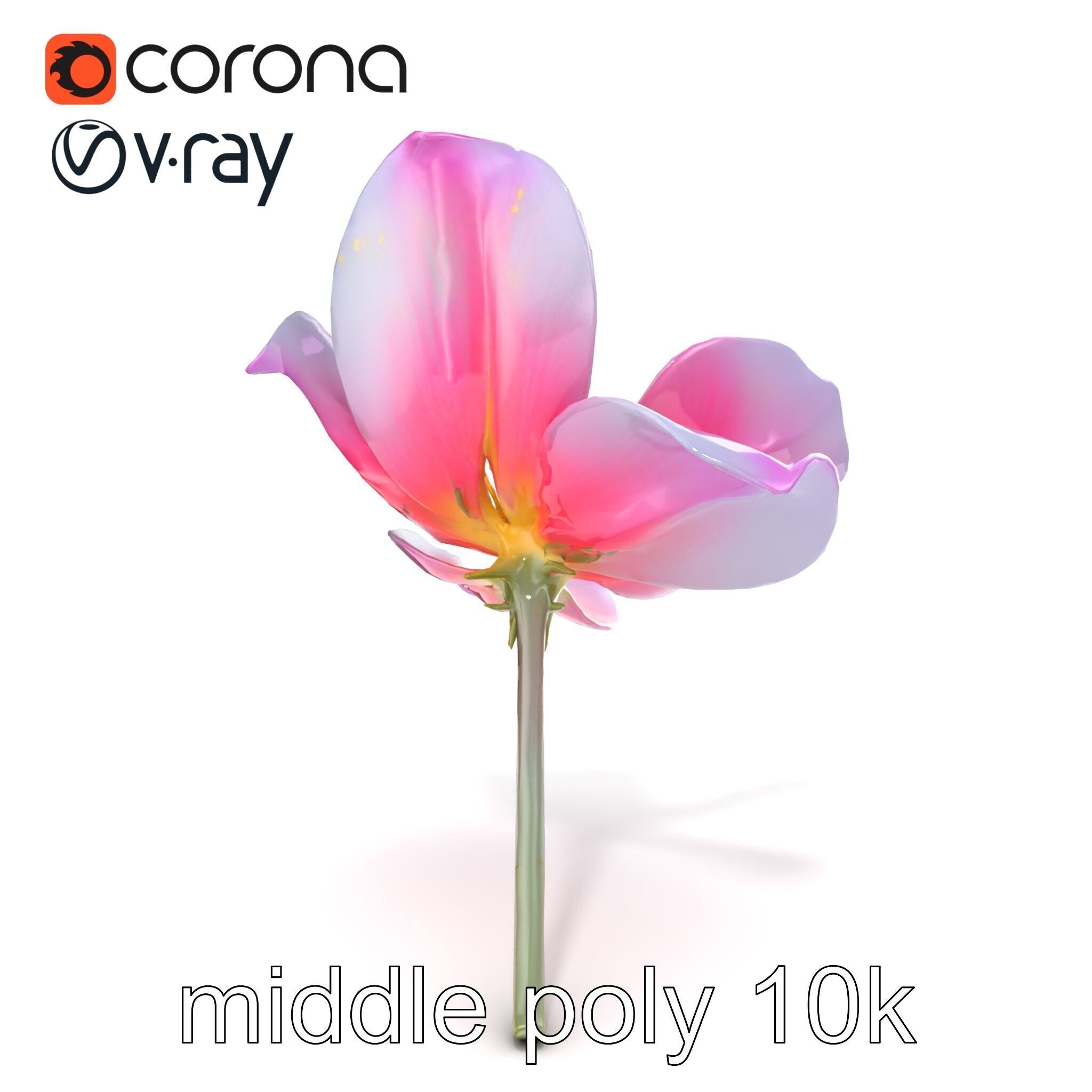 Enchanted Mystical Flower with Translucent Petals model pack Low-poly 3D model_18