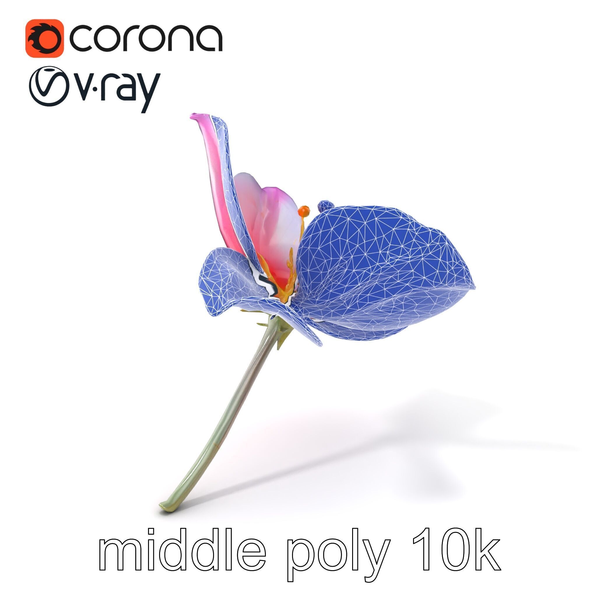 Enchanted Mystical Flower with Translucent Petals model pack Low-poly 3D model_6