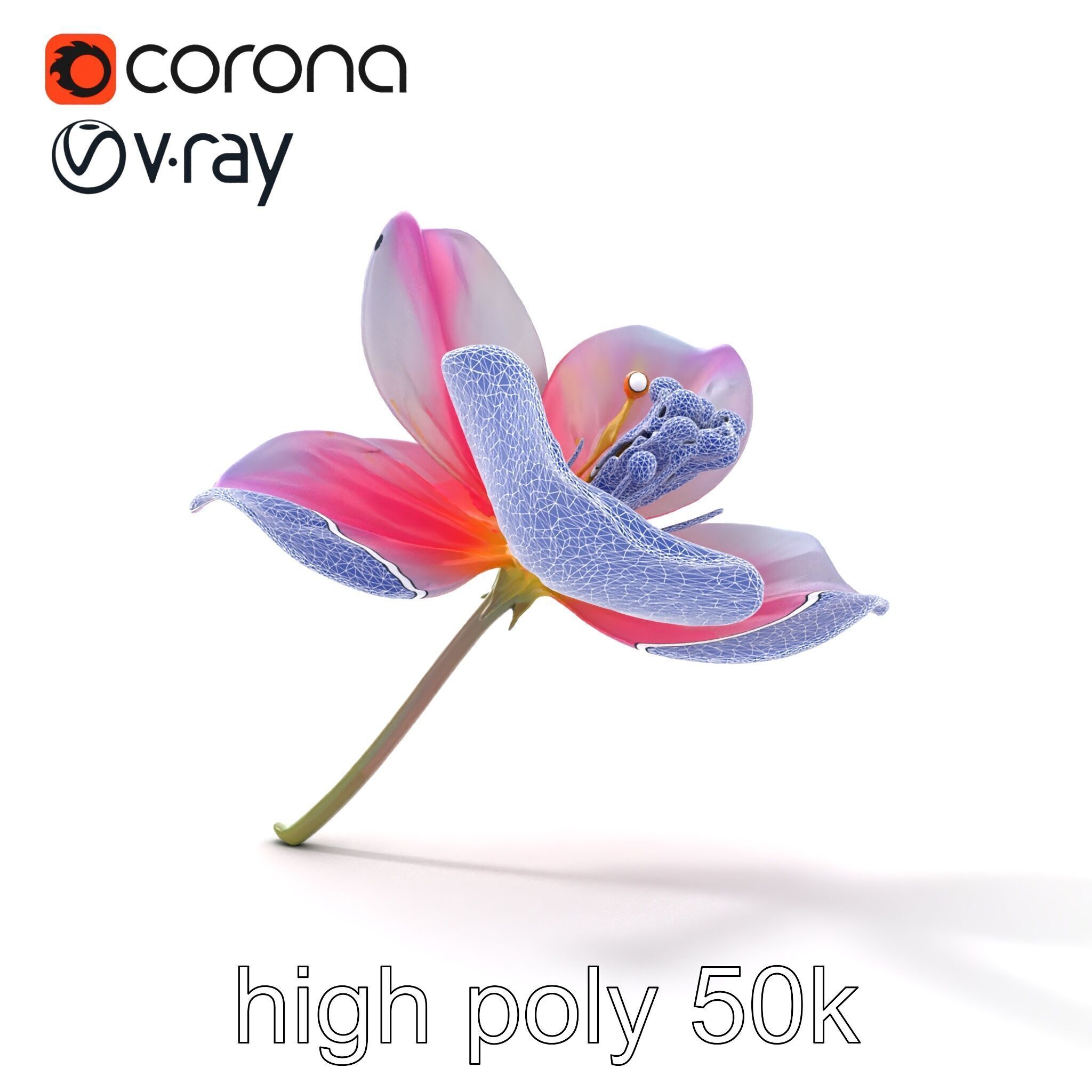 Enchanted Mystical Flower with Translucent Petals model pack Low-poly 3D model_16