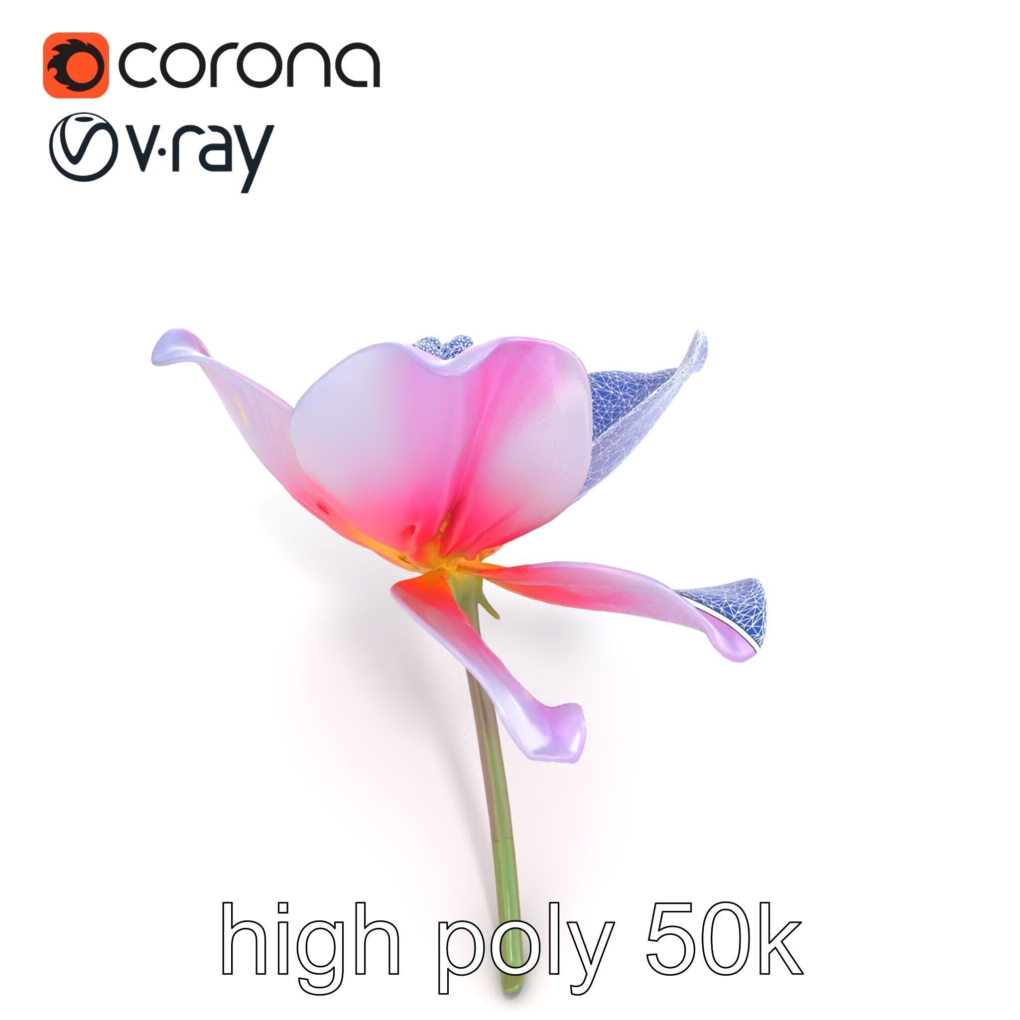 Enchanted Mystical Flower with Translucent Petals model pack Low-poly 3D model_21