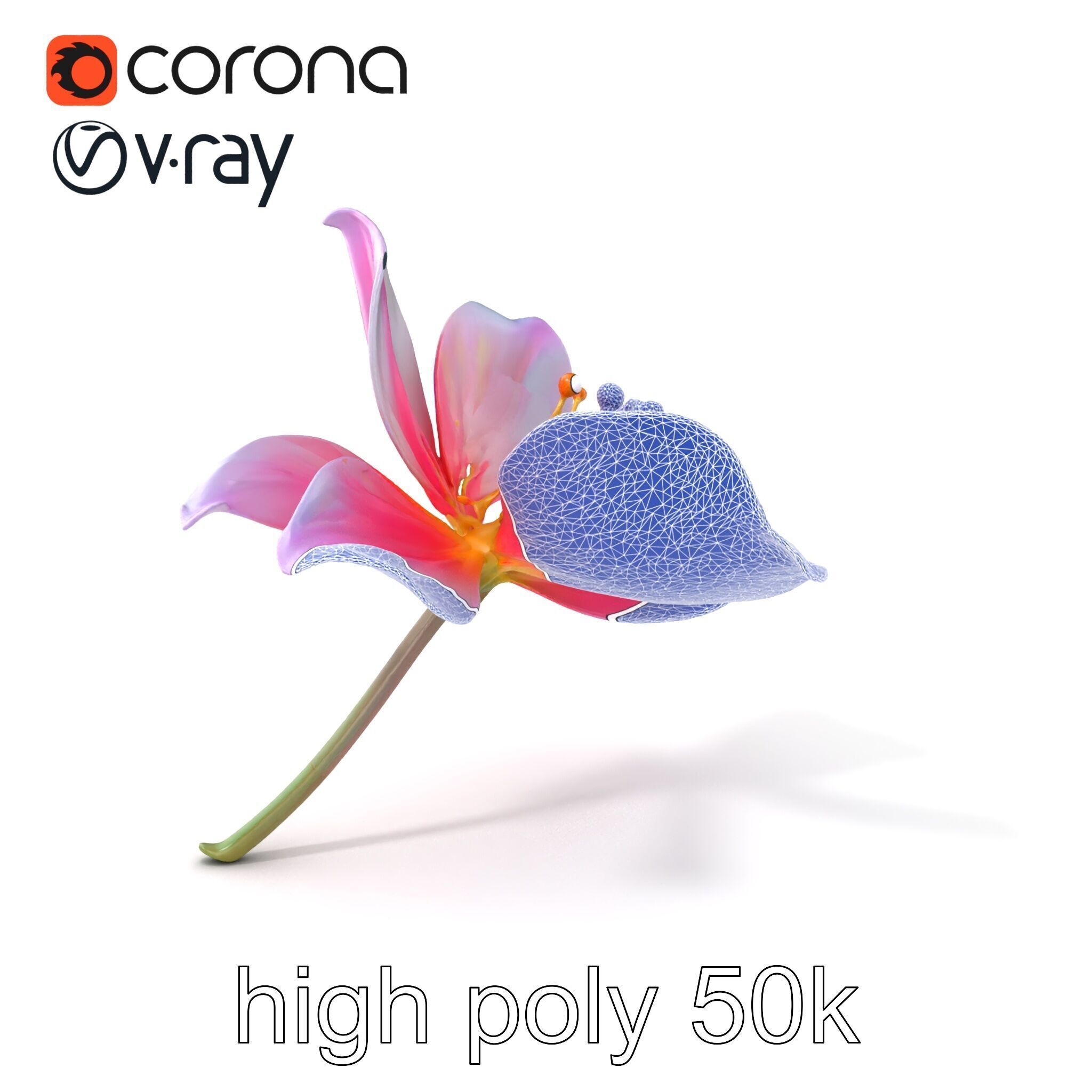 Enchanted Mystical Flower with Translucent Petals model pack Low-poly 3D model_10