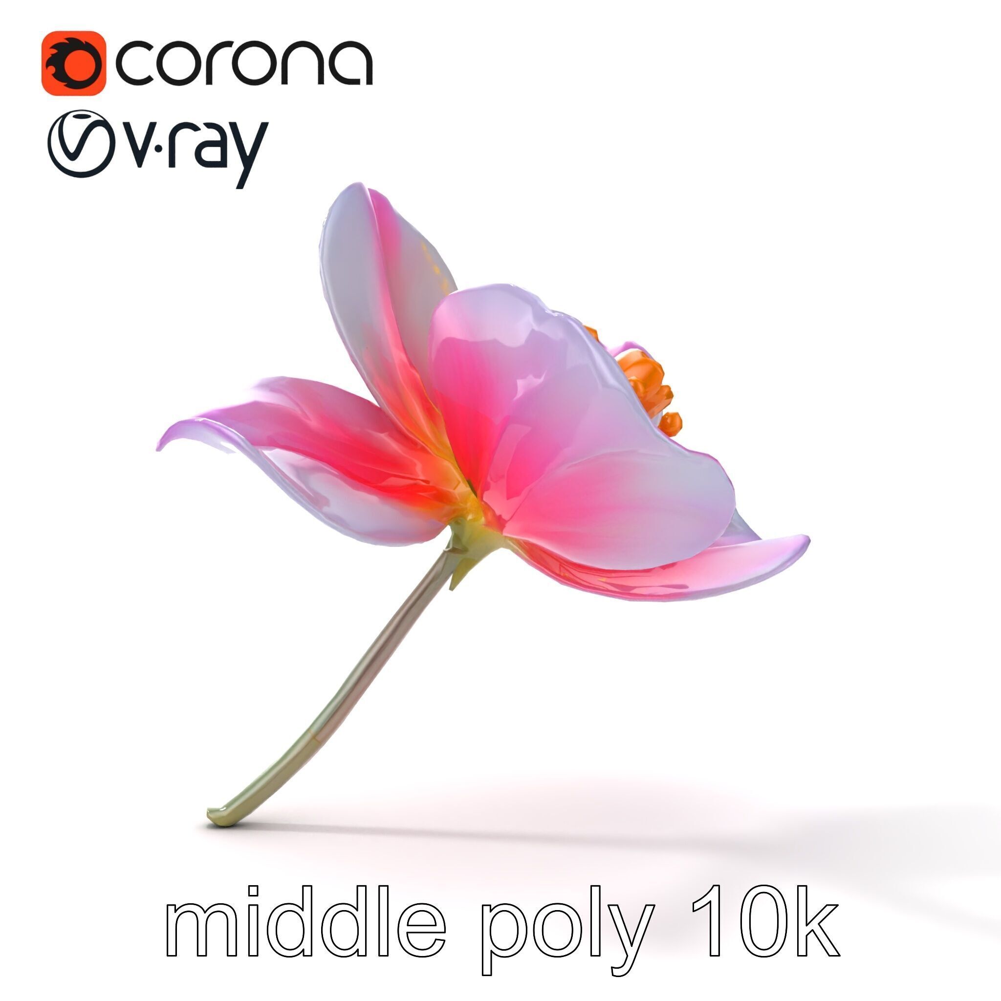 Enchanted Mystical Flower with Translucent Petals model pack Low-poly 3D model_30