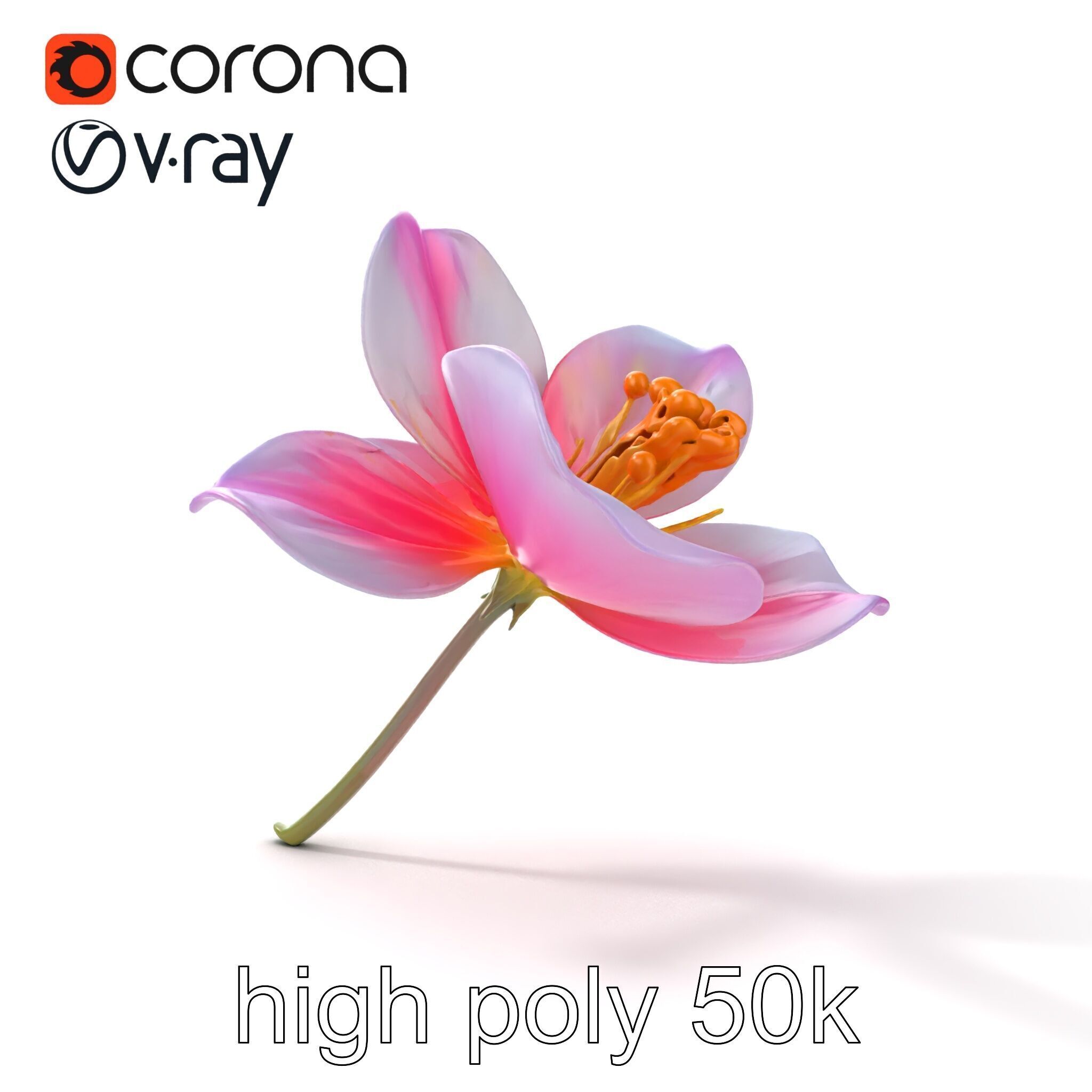 Enchanted Mystical Flower with Translucent Petals model pack Low-poly 3D model_15