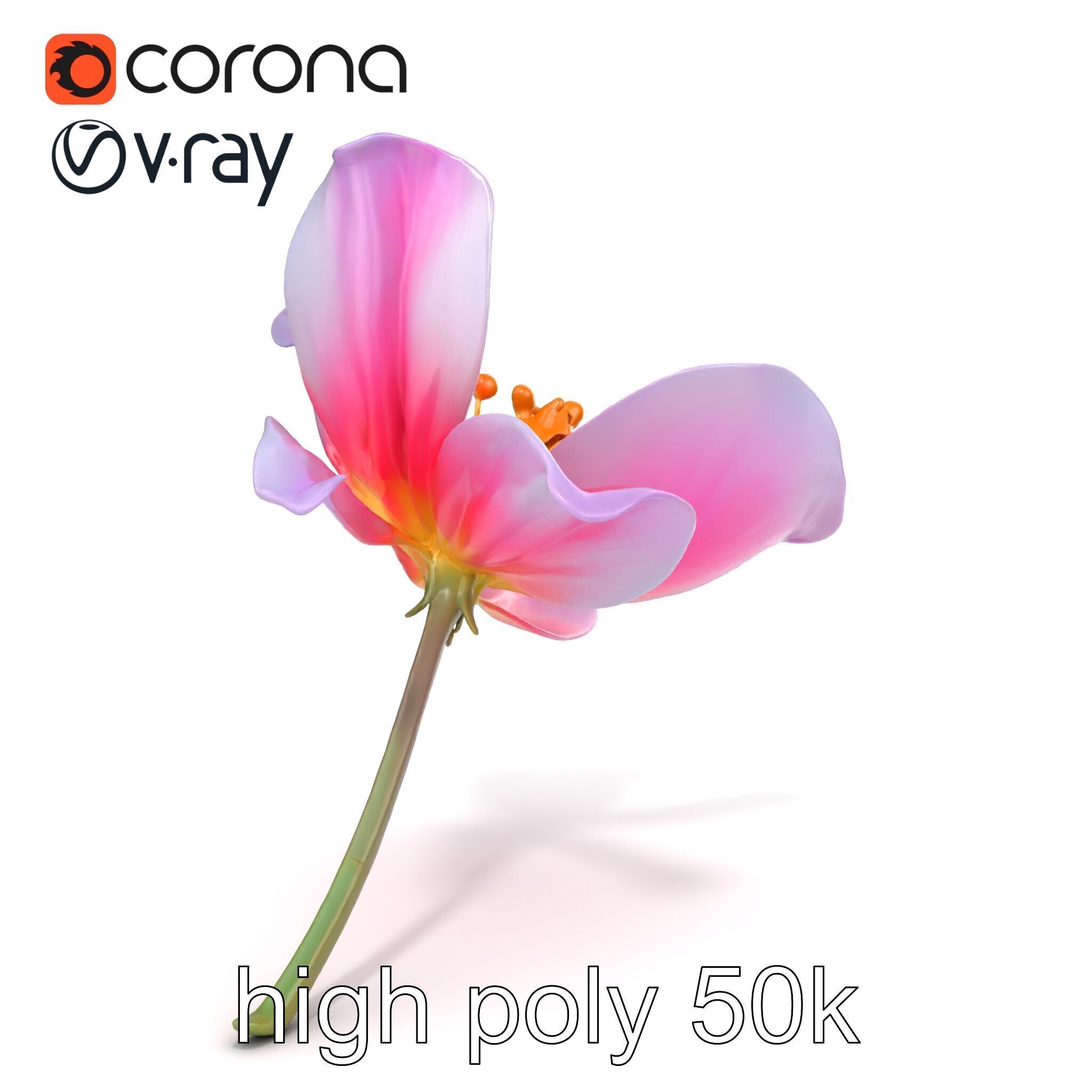 Enchanted Mystical Flower with Translucent Petals model pack Low-poly 3D model_29