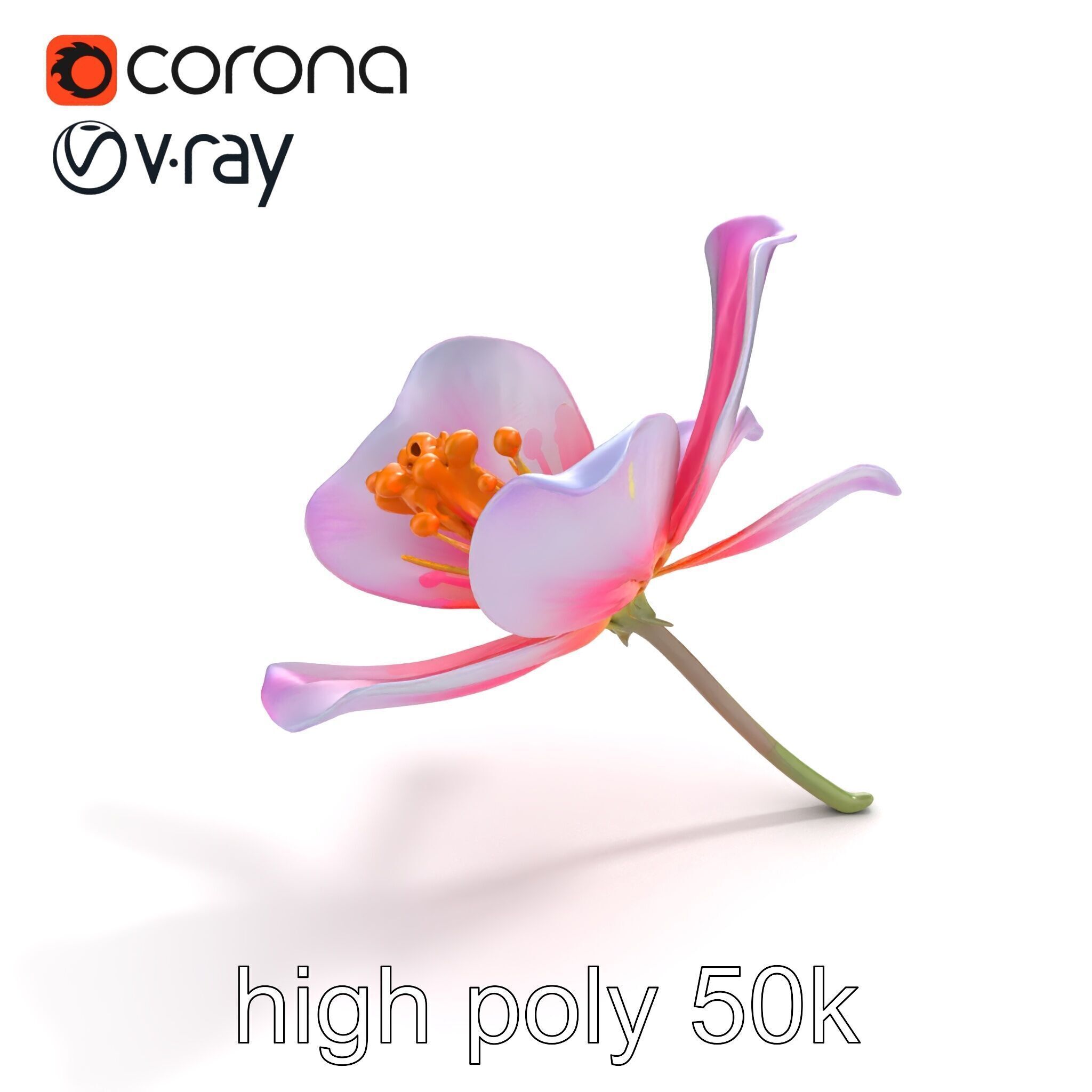 Enchanted Mystical Flower with Translucent Petals model pack Low-poly 3D model_11