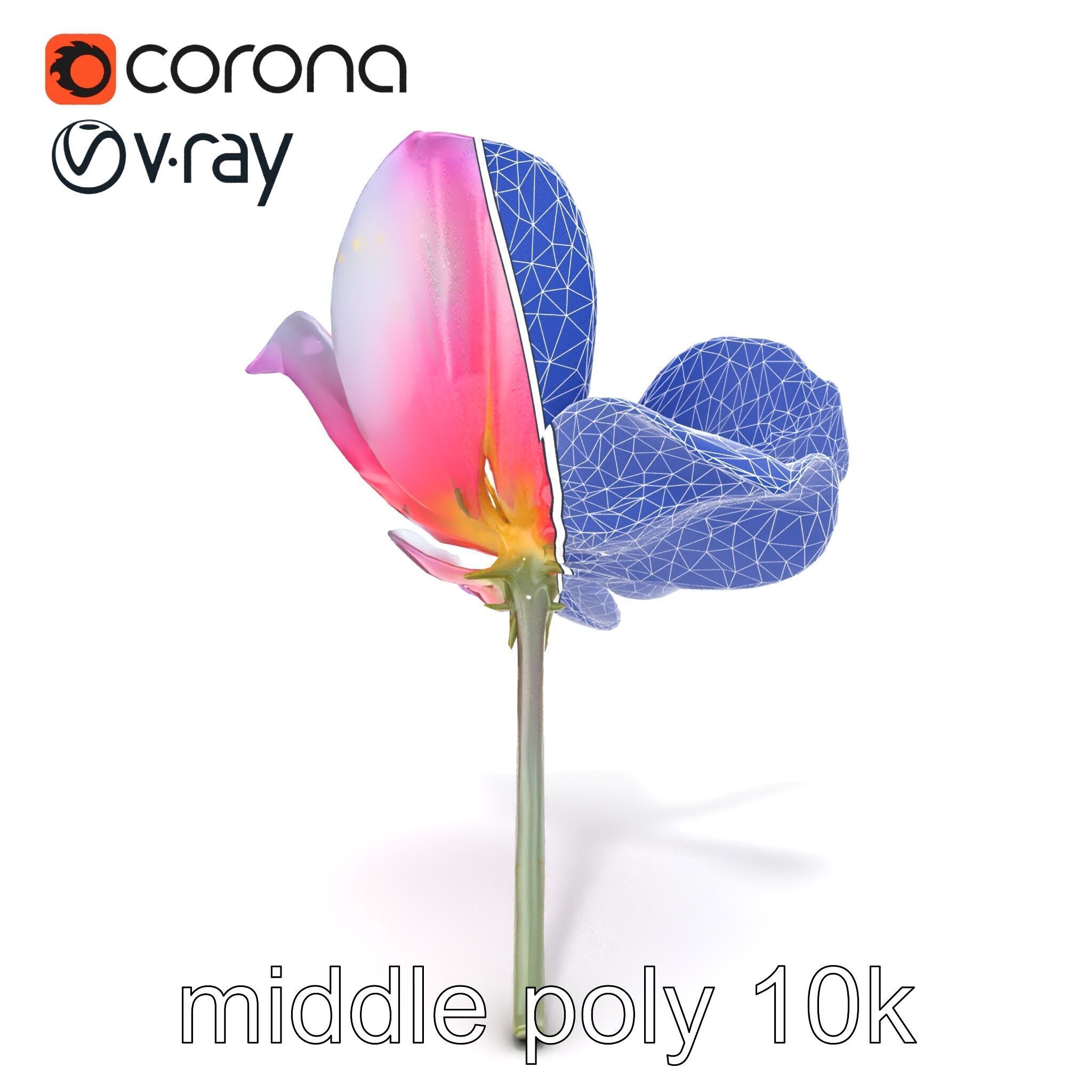 Enchanted Mystical Flower with Translucent Petals model pack Low-poly 3D model_25