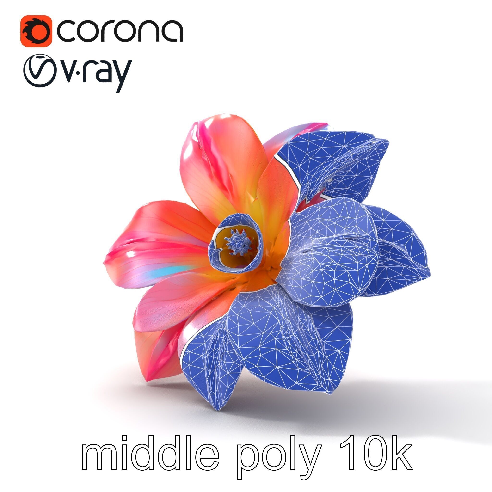 Iridescent Ethereal Flower with Veined Petals model pack Low-poly 3D model_31