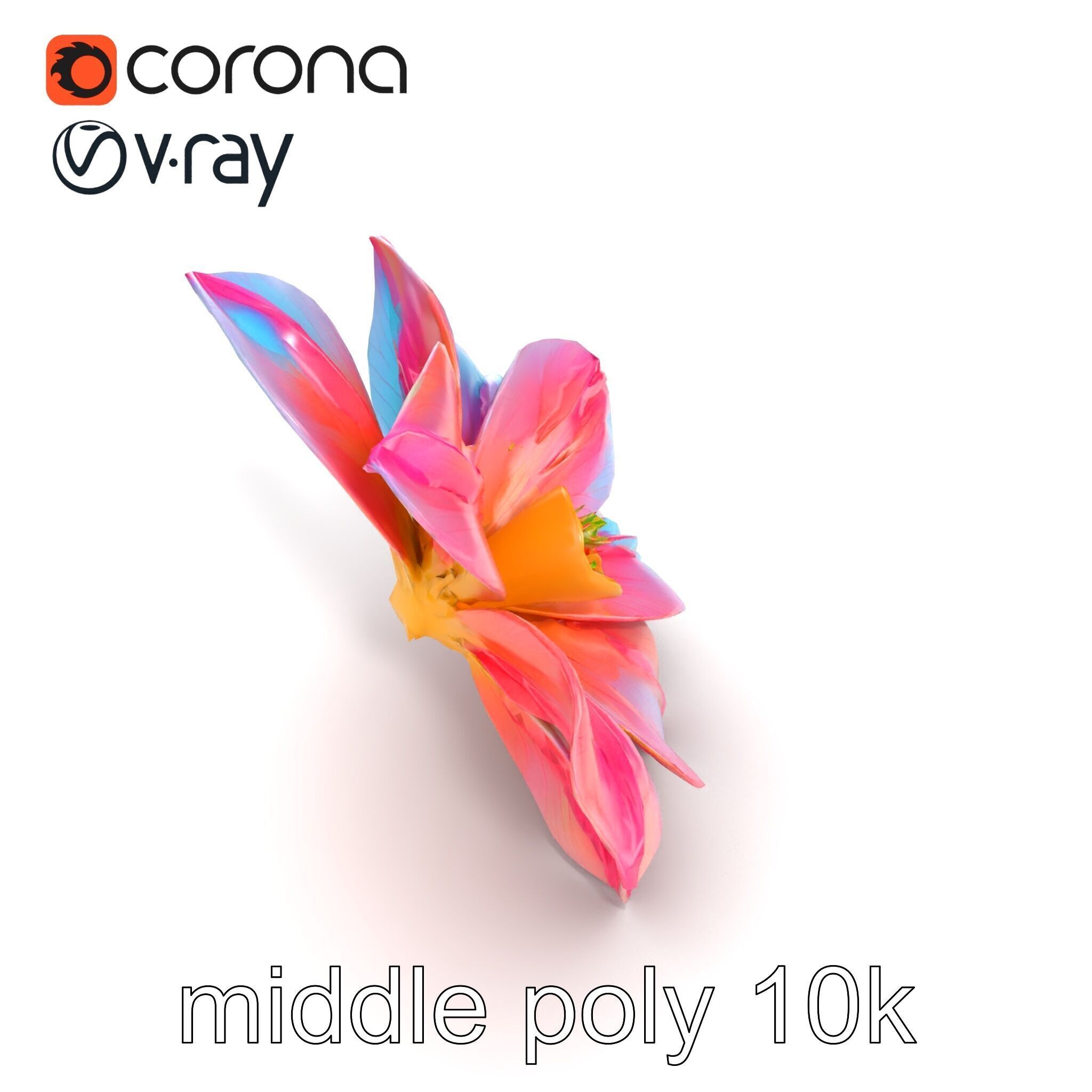 Iridescent Ethereal Flower with Veined Petals model pack Low-poly 3D model_11