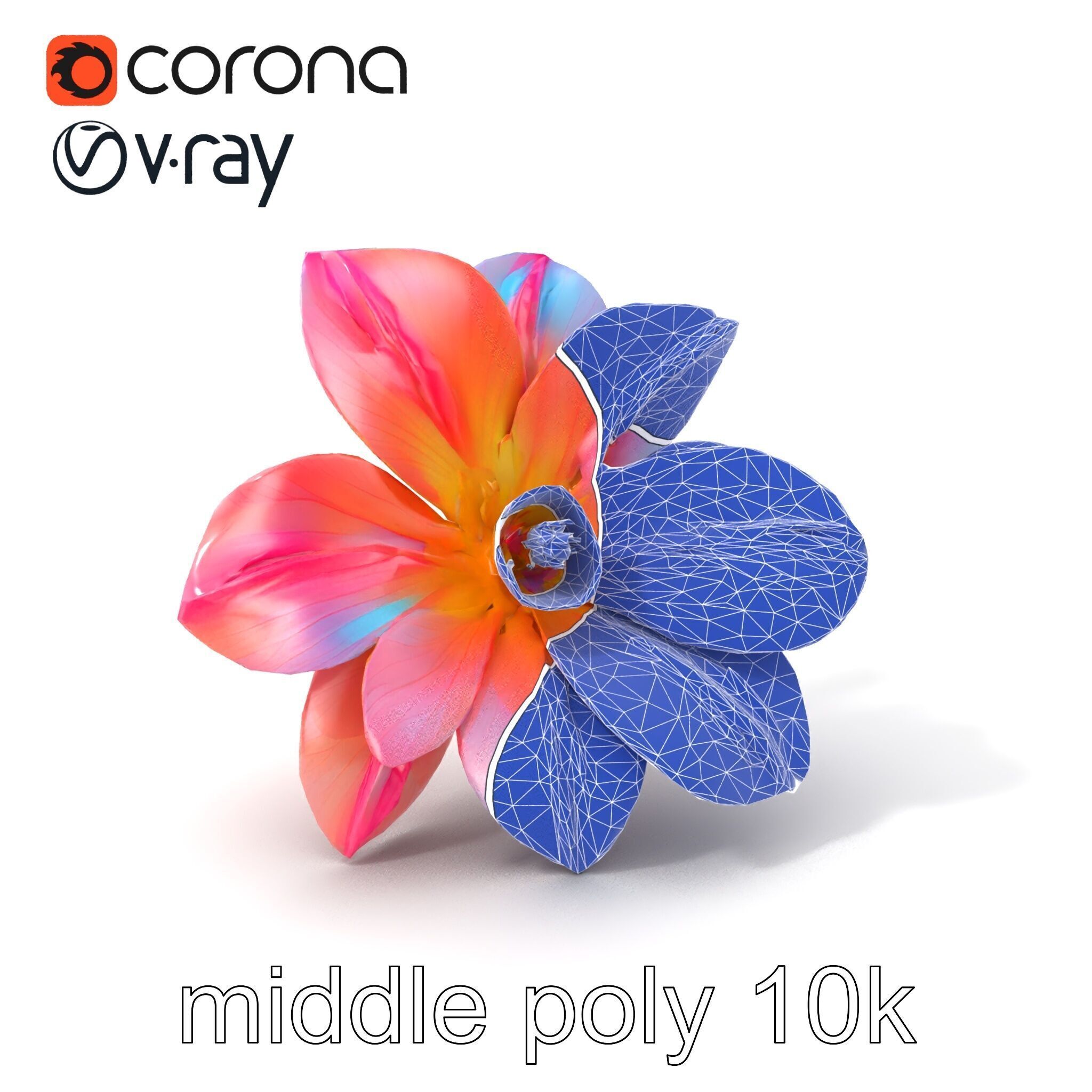 Iridescent Ethereal Flower with Veined Petals model pack Low-poly 3D model_6