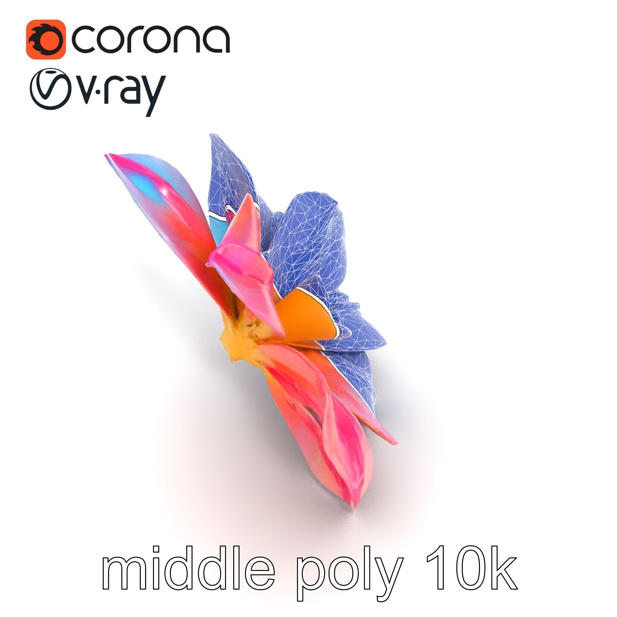 Iridescent Ethereal Flower with Veined Petals model pack Low-poly 3D model_13