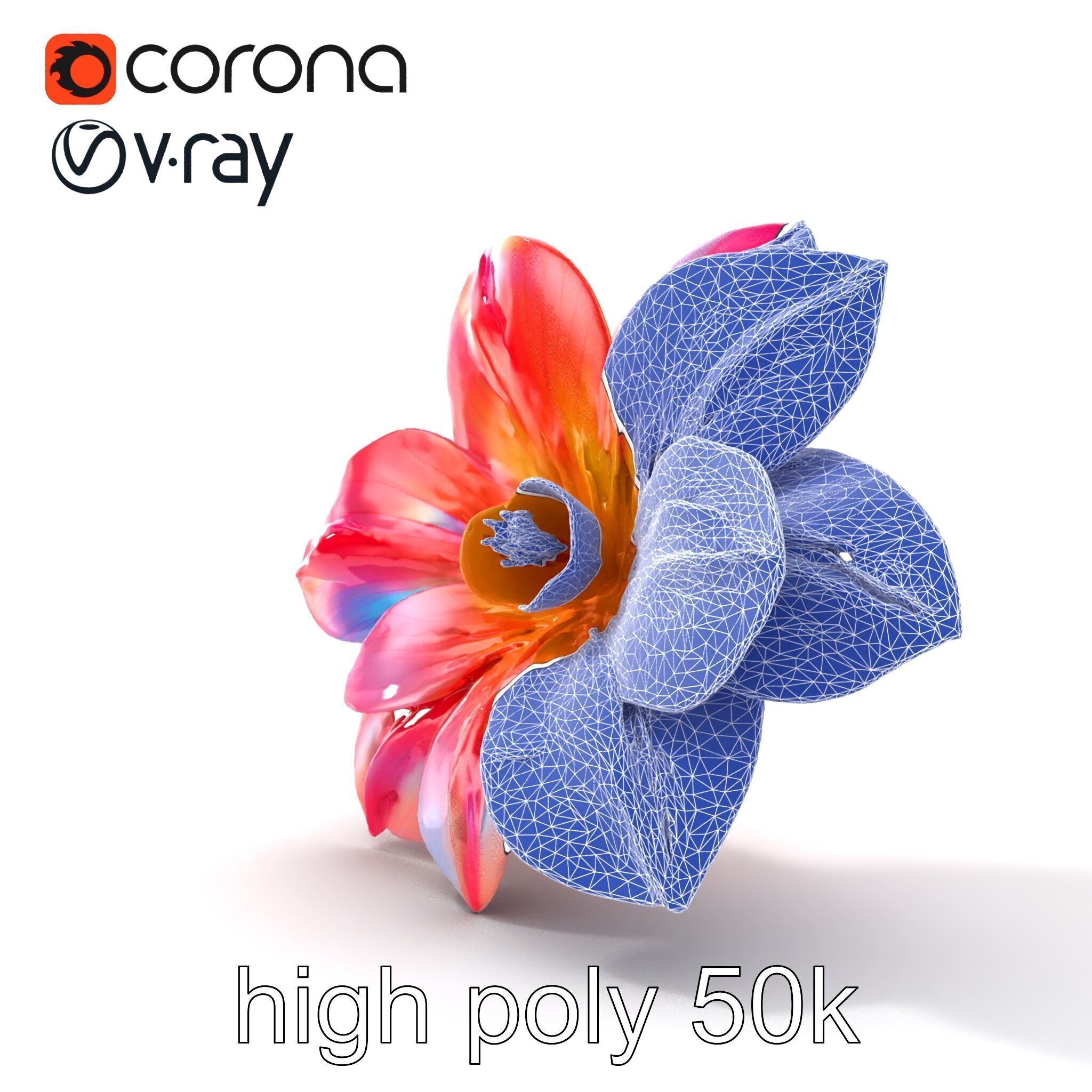 Iridescent Ethereal Flower with Veined Petals model pack Low-poly 3D model_17