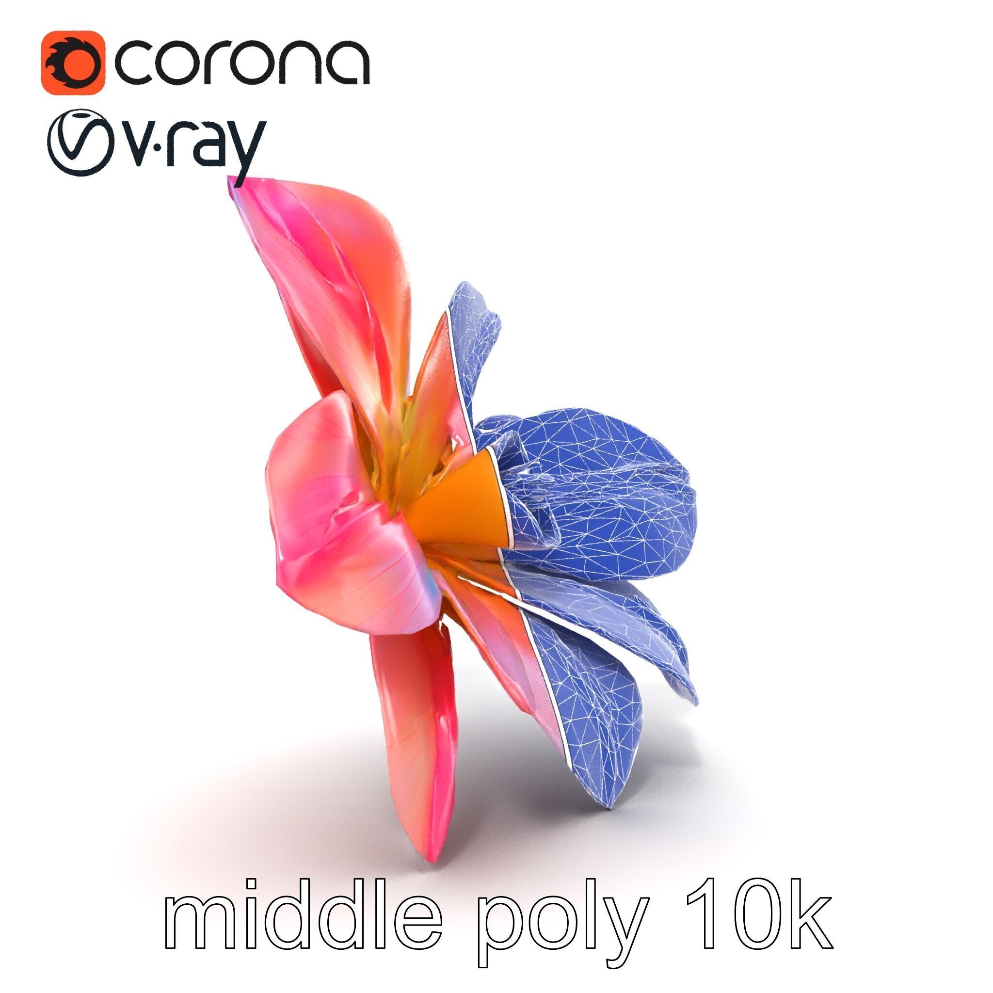 Iridescent Ethereal Flower with Veined Petals model pack Low-poly 3D model_14