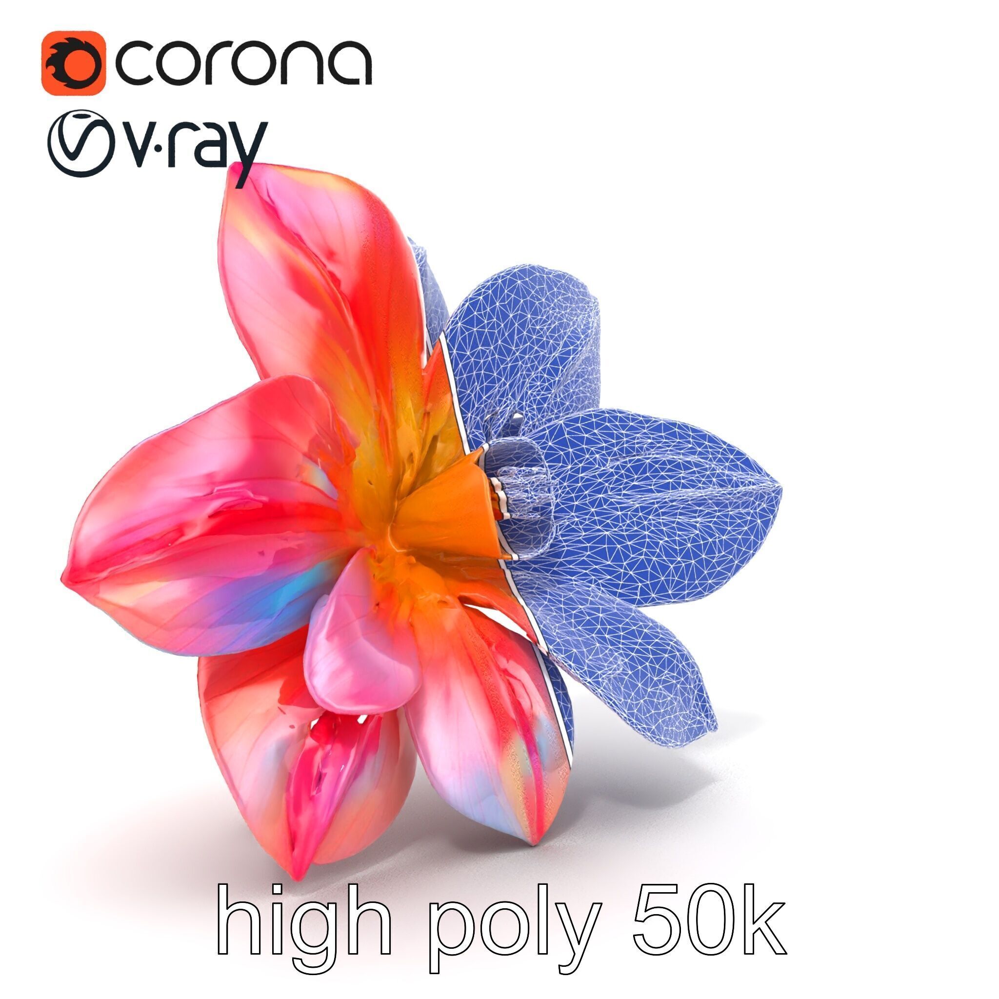 Iridescent Ethereal Flower with Veined Petals model pack Low-poly 3D model_32
