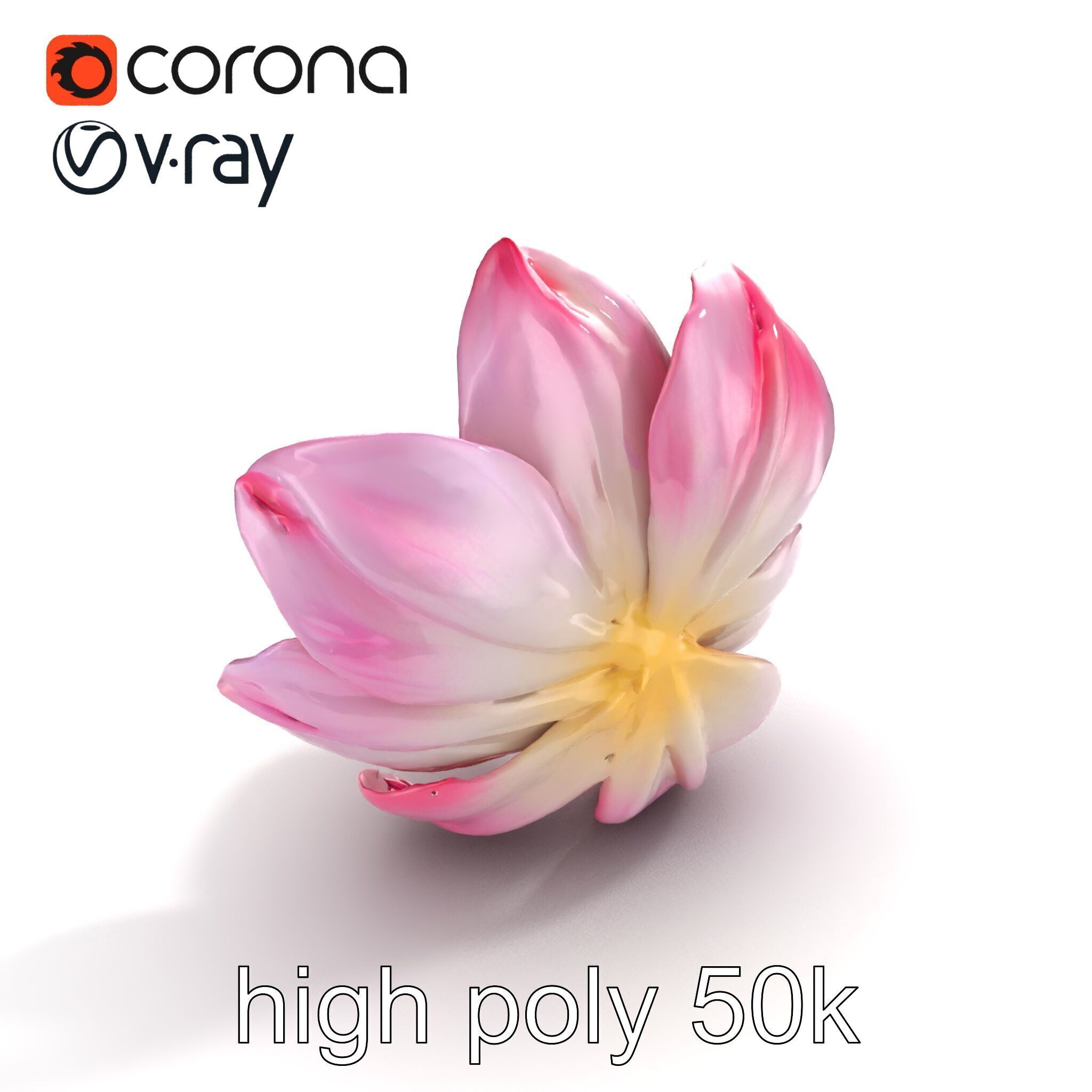 Shimmering Blossom With Panchromatic Petals model pack Low-poly 3D model_21