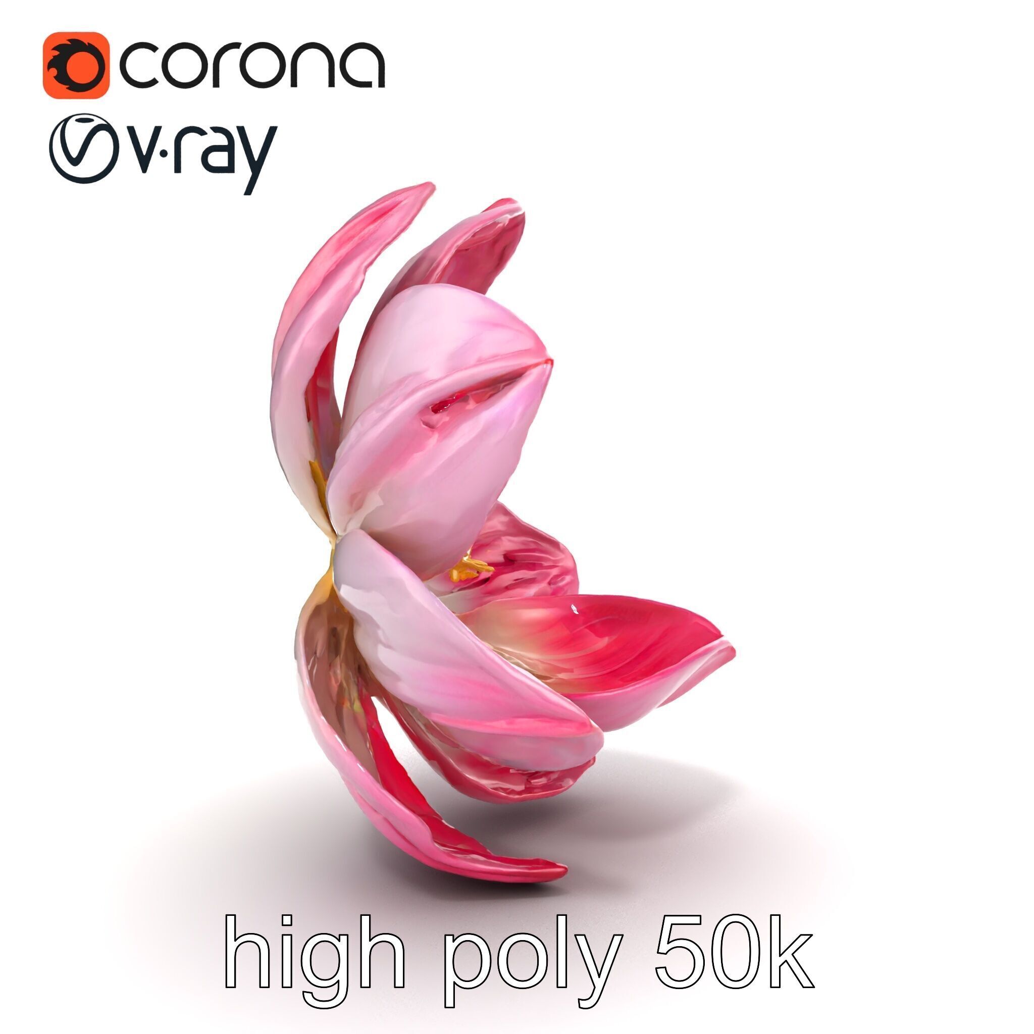 Shimmering Blossom With Panchromatic Petals model pack Low-poly 3D model_31