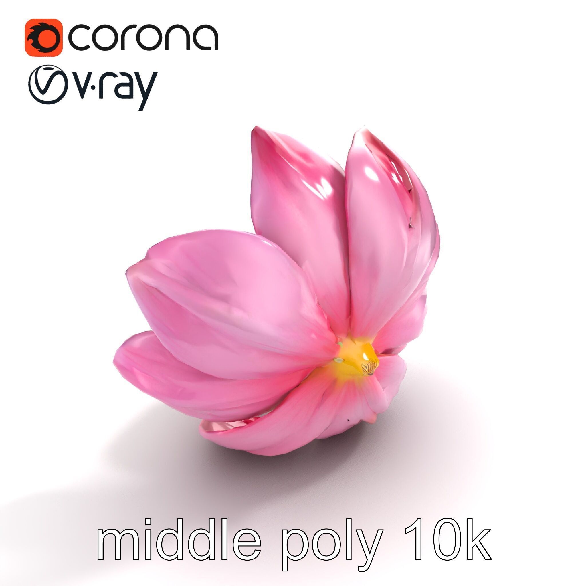 Shimmering Blossom With Panchromatic Petals model pack Low-poly 3D model_8
