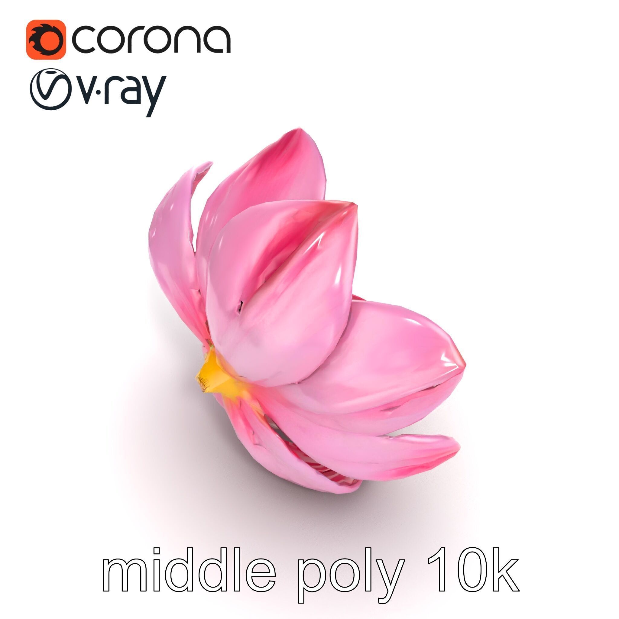 Shimmering Blossom With Panchromatic Petals model pack Low-poly 3D model_17