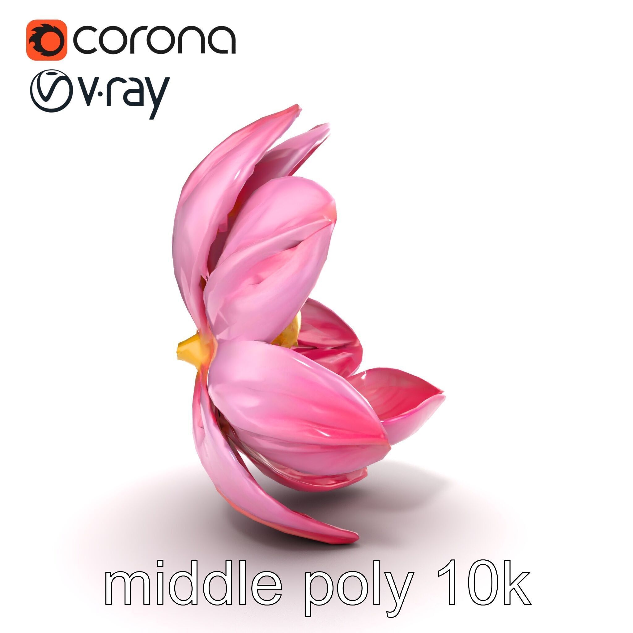 Shimmering Blossom With Panchromatic Petals model pack Low-poly 3D model_22