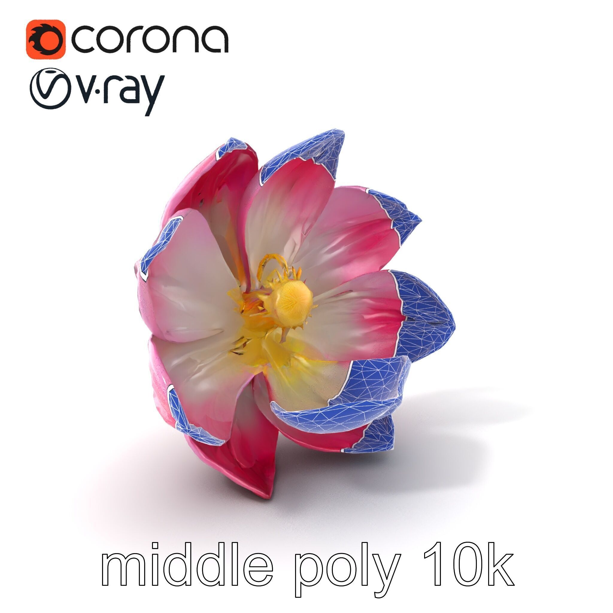 Shimmering Blossom With Panchromatic Petals model pack Low-poly 3D model_6
