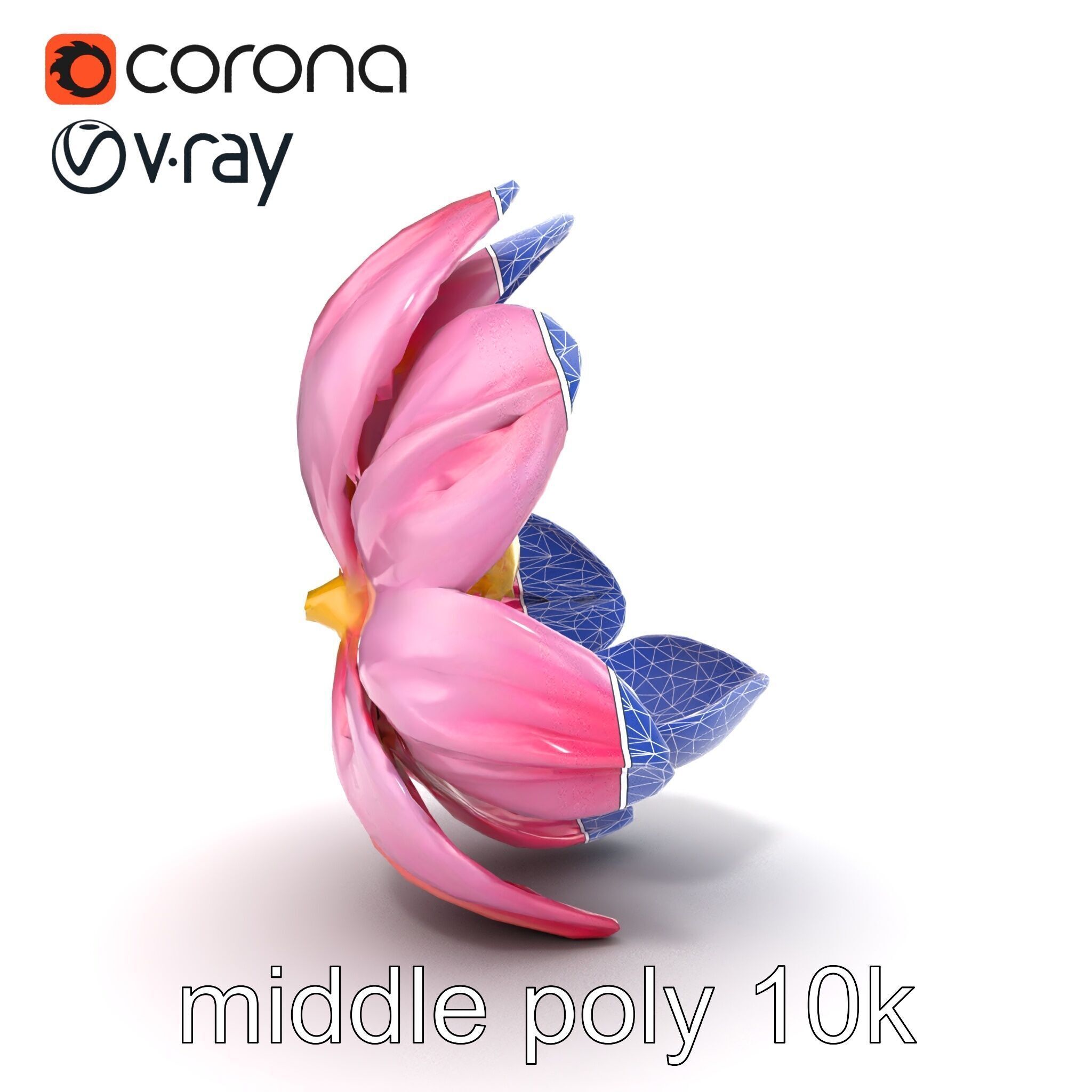 Shimmering Blossom With Panchromatic Petals model pack Low-poly 3D model_30
