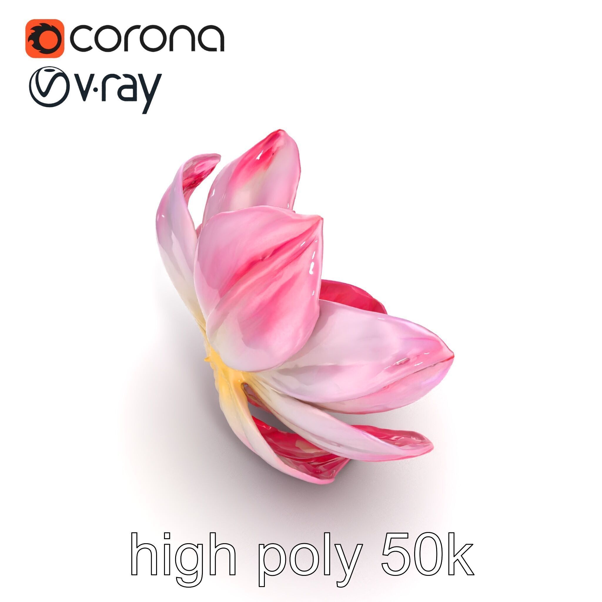 Shimmering Blossom With Panchromatic Petals model pack Low-poly 3D model_15