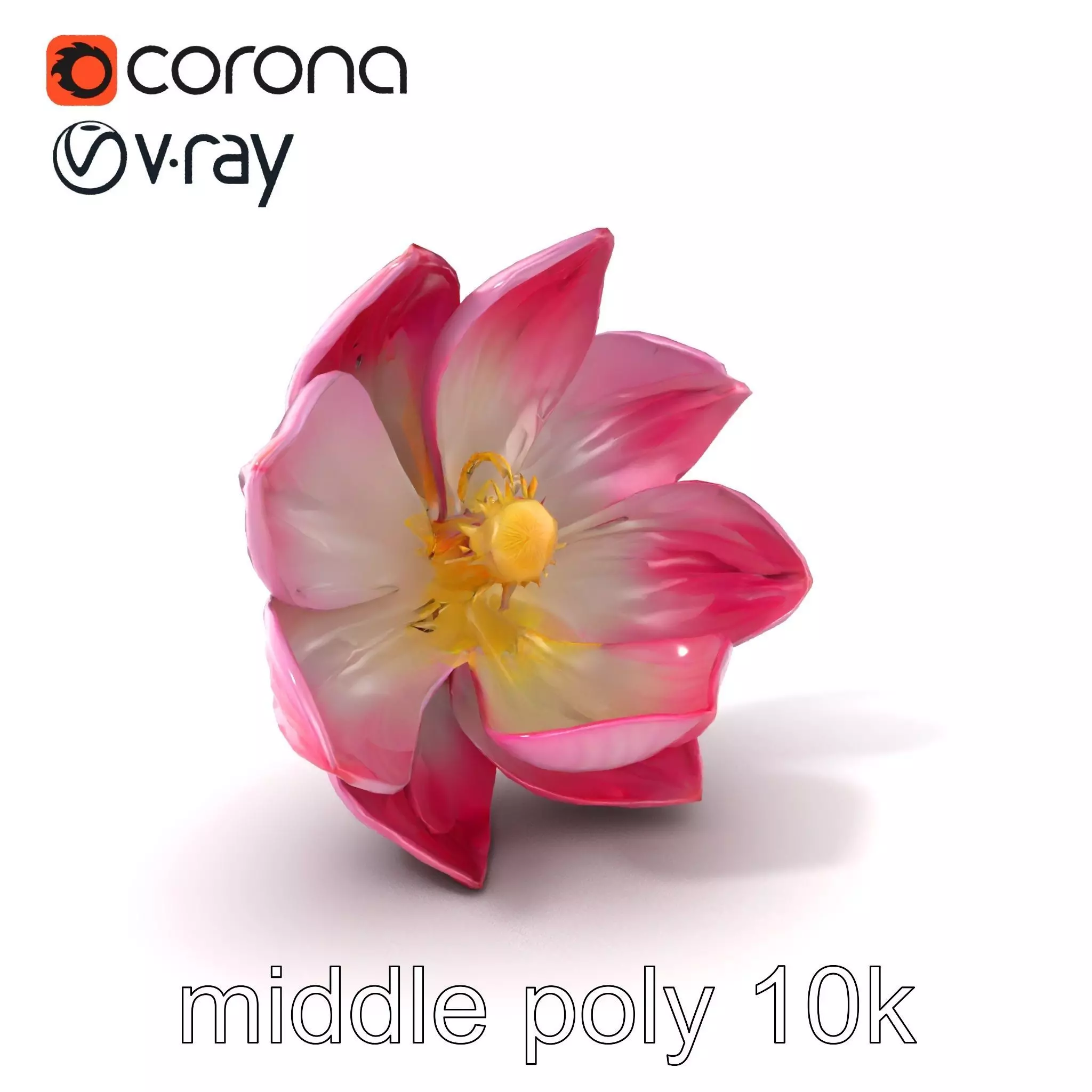 Shimmering Blossom With Panchromatic Petals model pack Low-poly 3D model_0