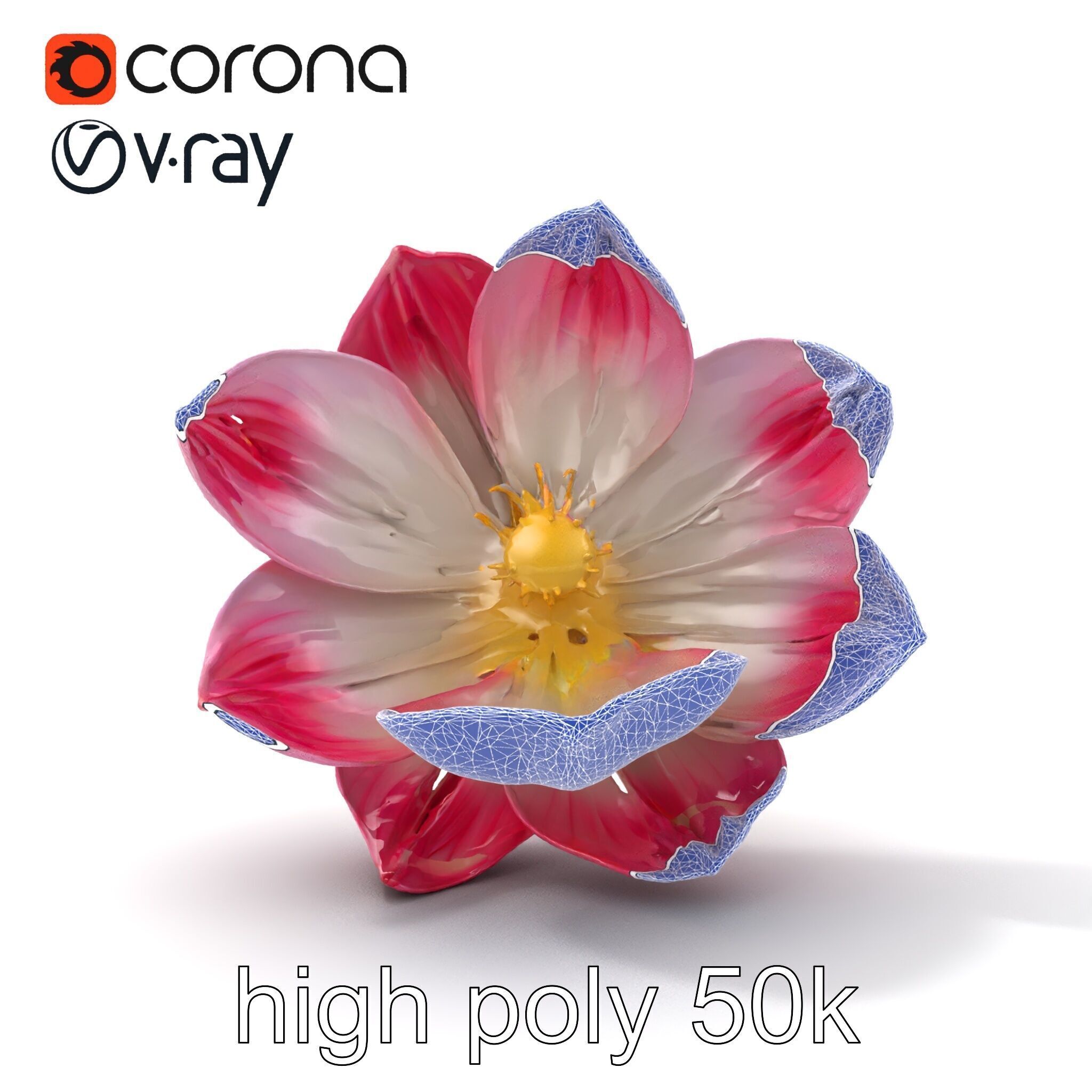 Shimmering Blossom With Panchromatic Petals model pack Low-poly 3D model_18