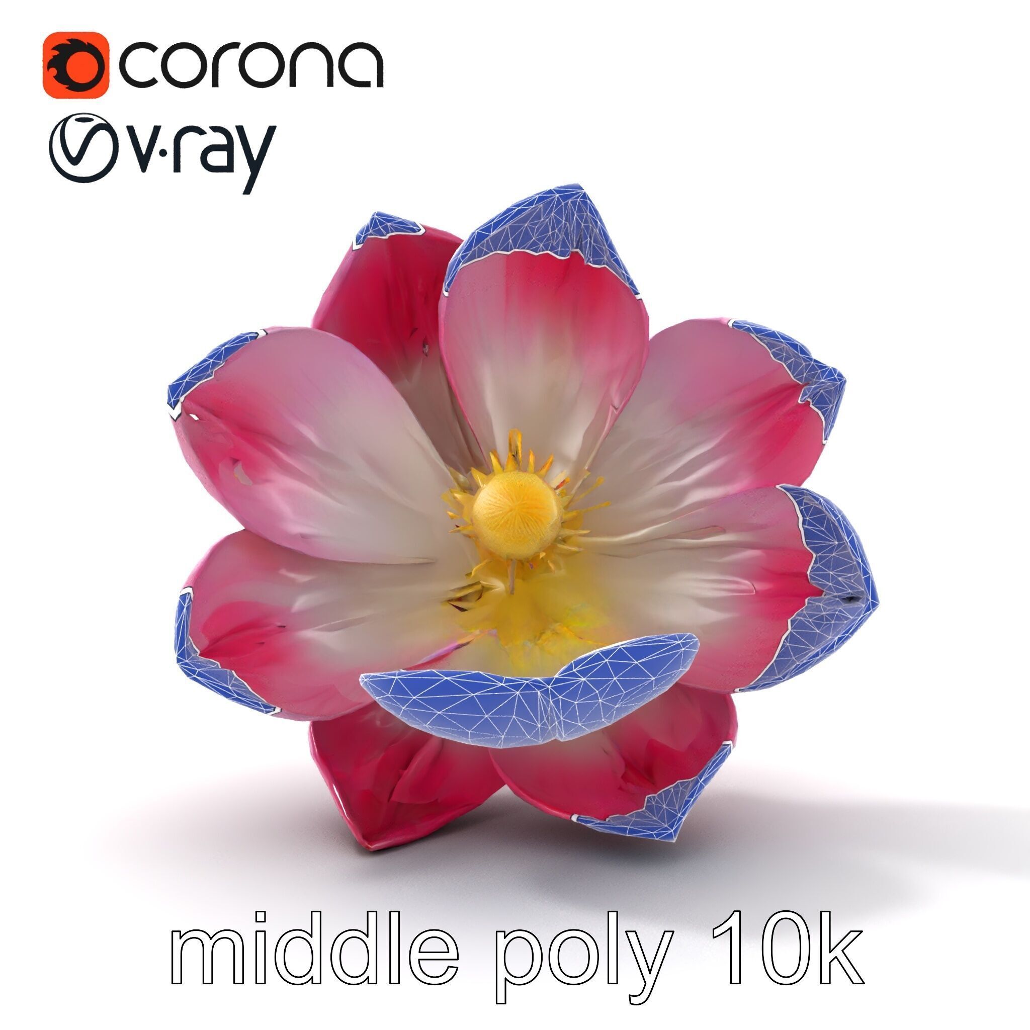 Shimmering Blossom With Panchromatic Petals model pack Low-poly 3D model_26