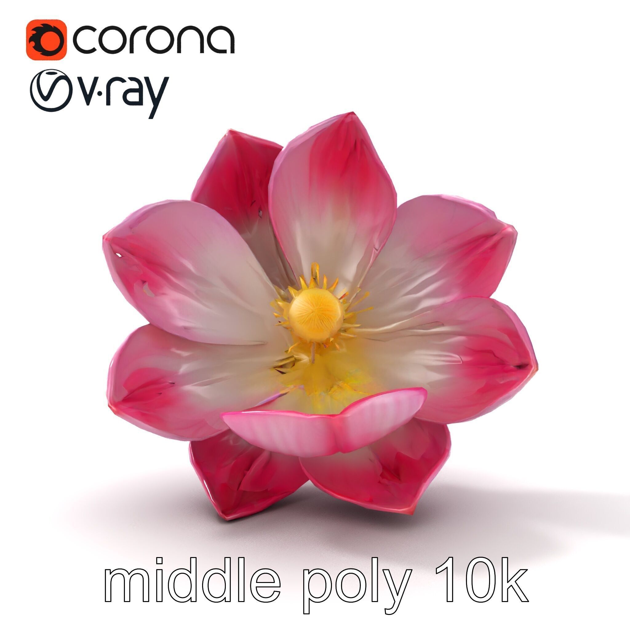 Shimmering Blossom With Panchromatic Petals model pack Low-poly 3D model_19