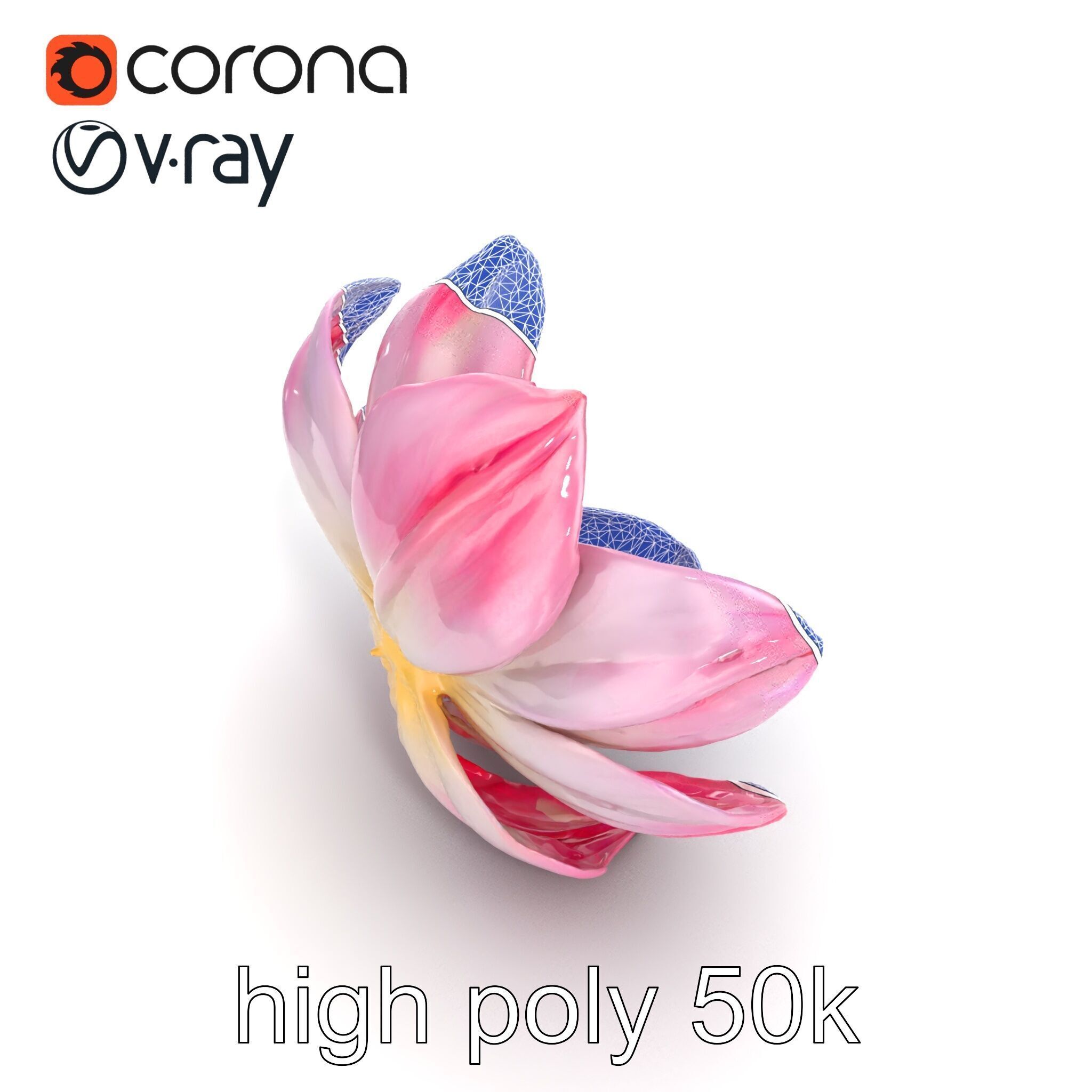 Shimmering Blossom With Panchromatic Petals model pack Low-poly 3D model_13