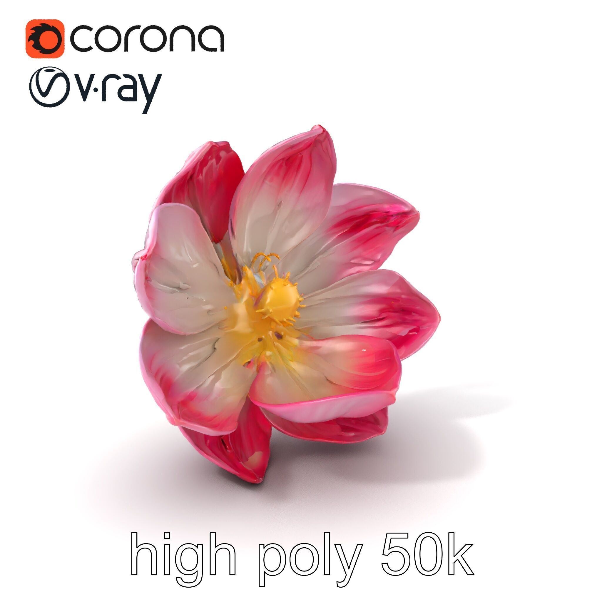Shimmering Blossom With Panchromatic Petals model pack Low-poly 3D model_2