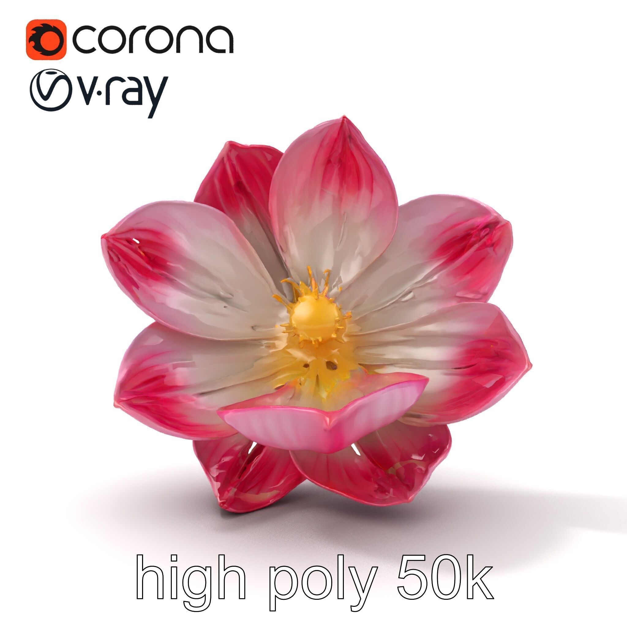 Shimmering Blossom With Panchromatic Petals model pack Low-poly 3D model_32