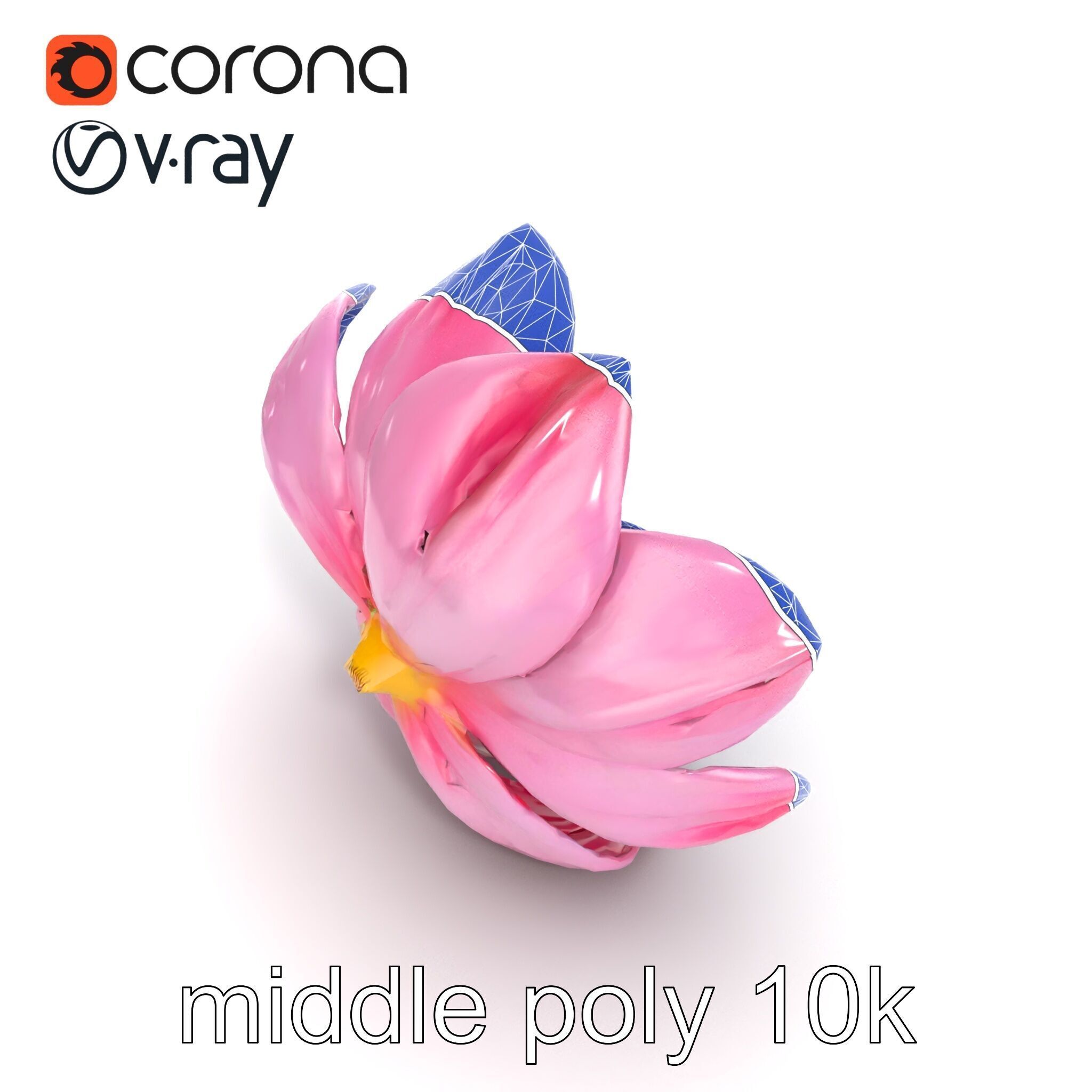 Shimmering Blossom With Panchromatic Petals model pack Low-poly 3D model_28