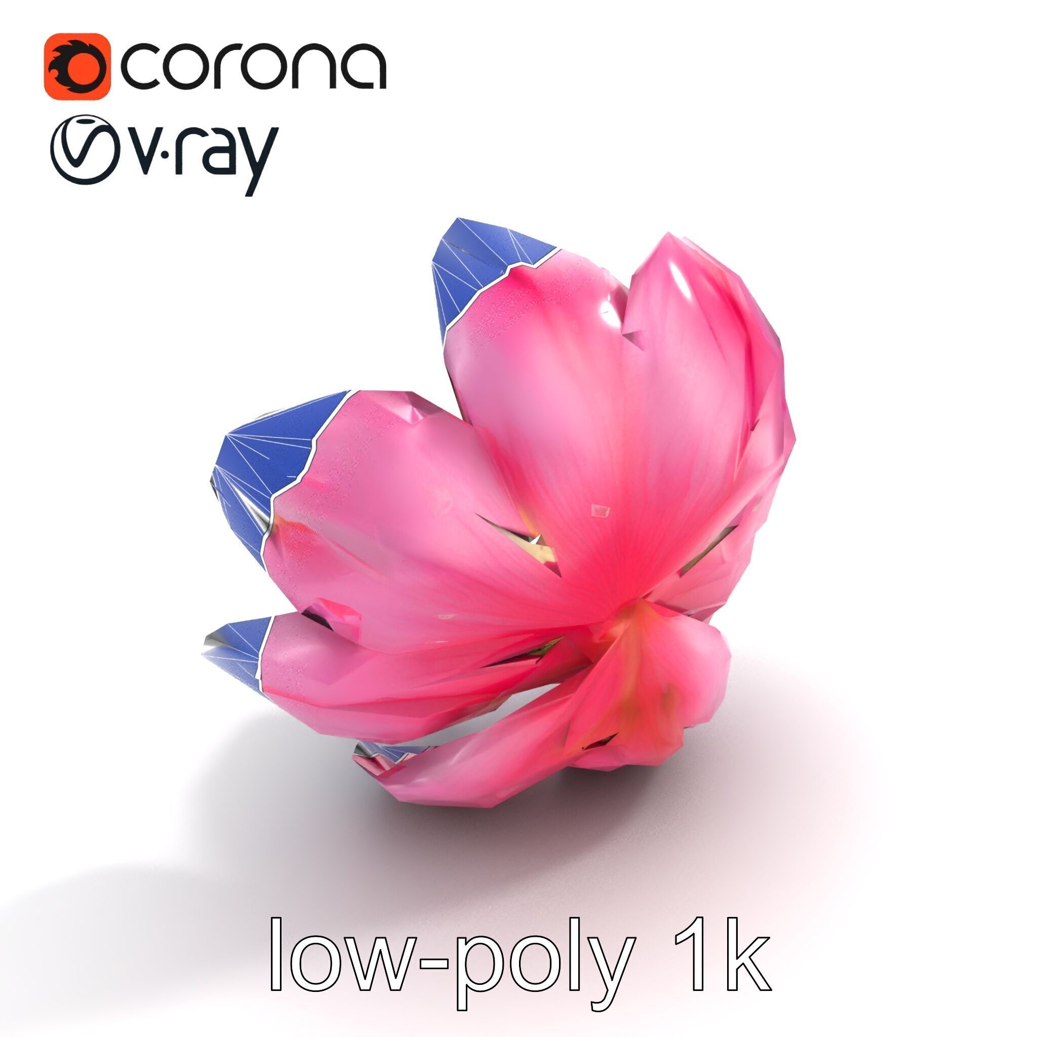 Shimmering Blossom With Panchromatic Petals model pack Low-poly 3D model_16