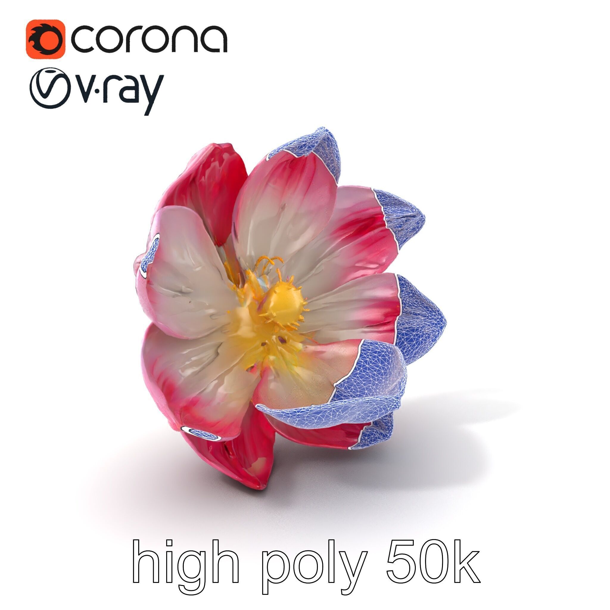 Shimmering Blossom With Panchromatic Petals model pack Low-poly 3D model_10