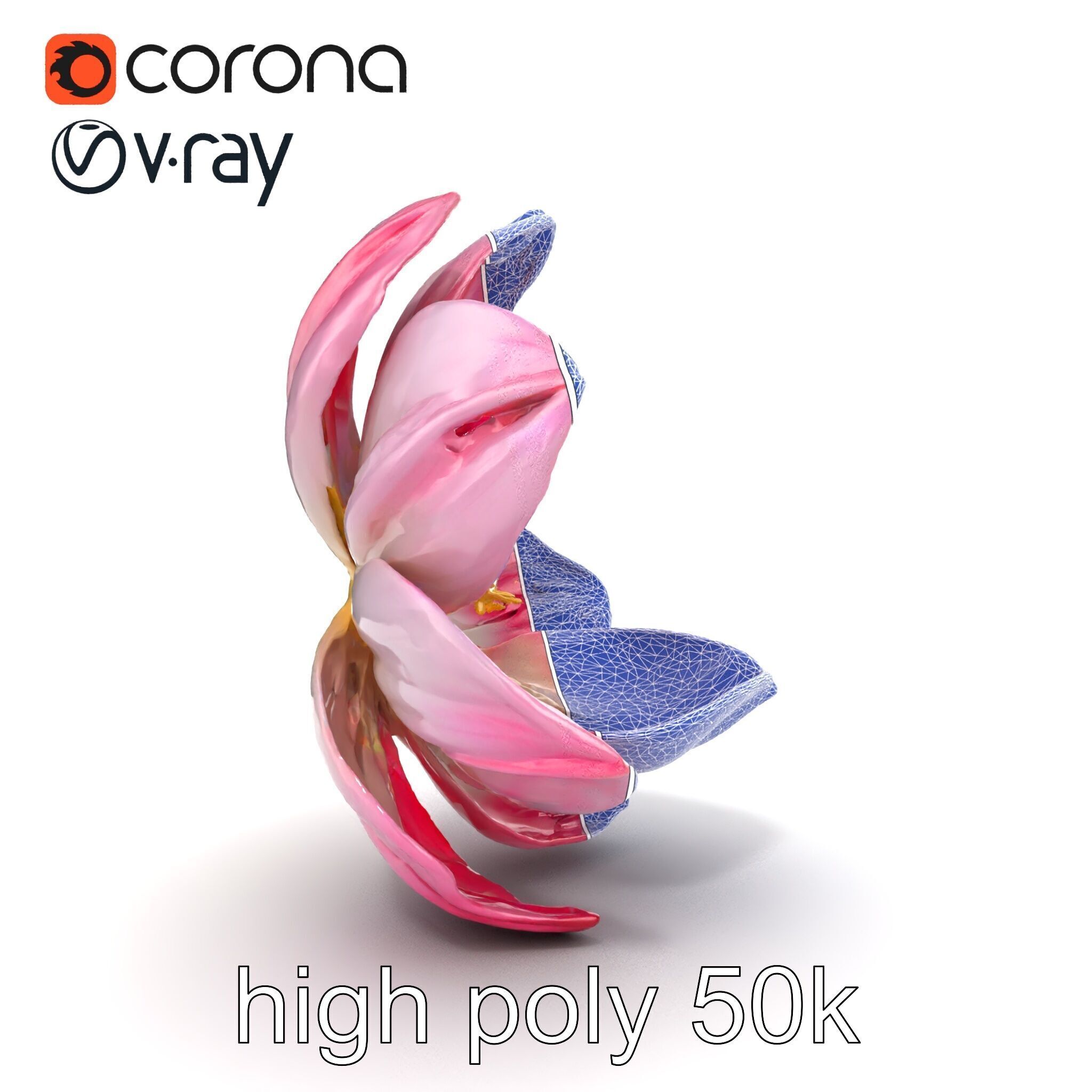 Shimmering Blossom With Panchromatic Petals model pack Low-poly 3D model_20