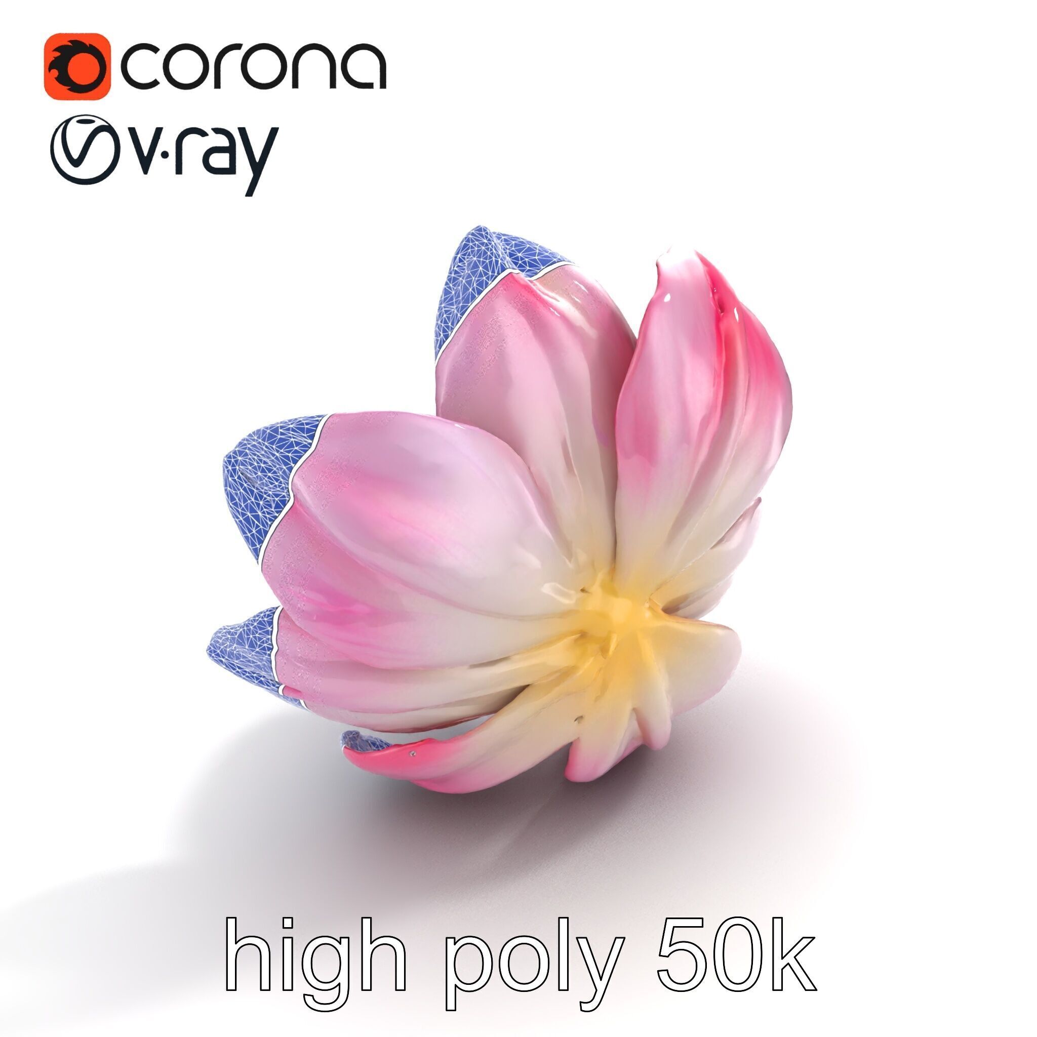 Shimmering Blossom With Panchromatic Petals model pack Low-poly 3D model_23