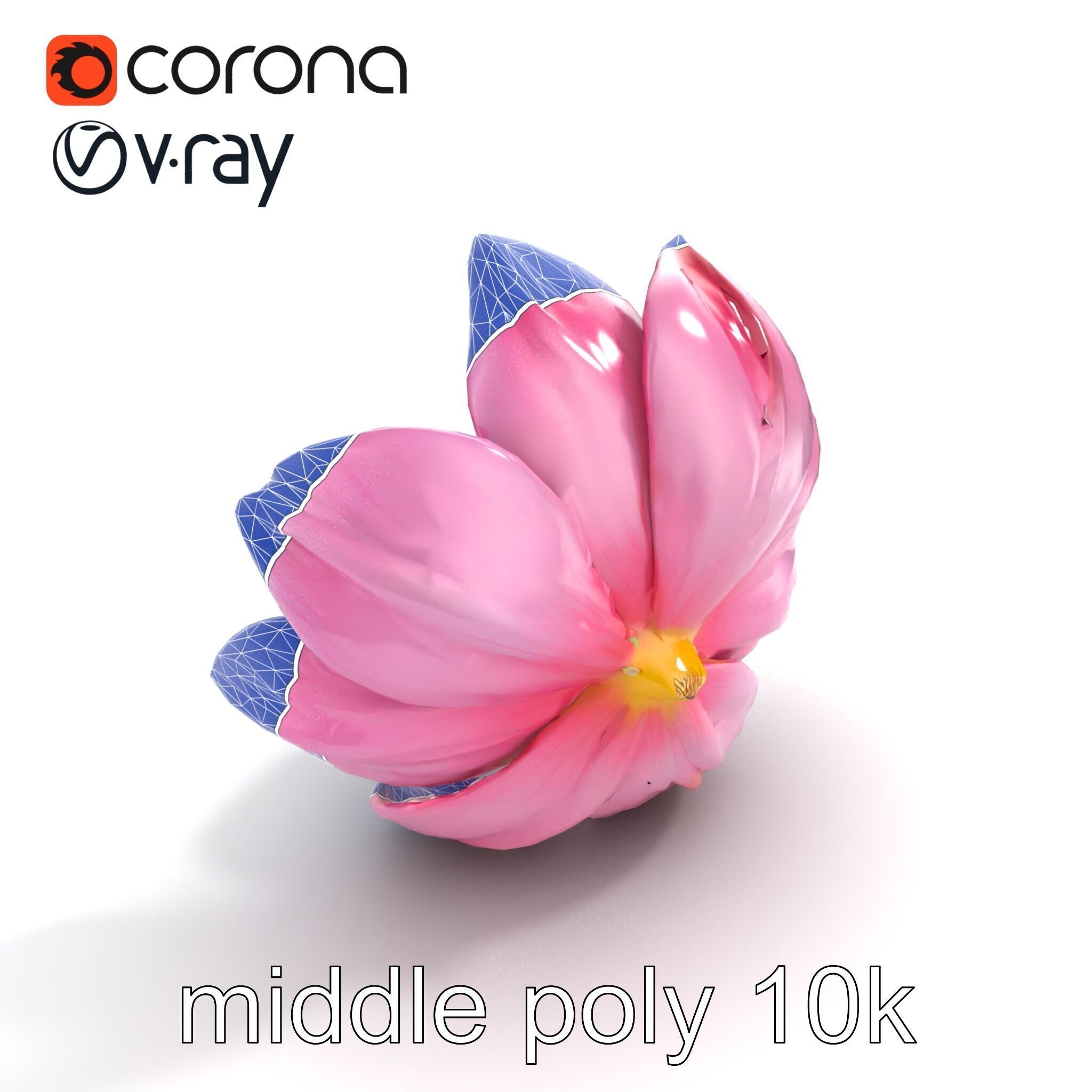 Shimmering Blossom With Panchromatic Petals model pack Low-poly 3D model_11