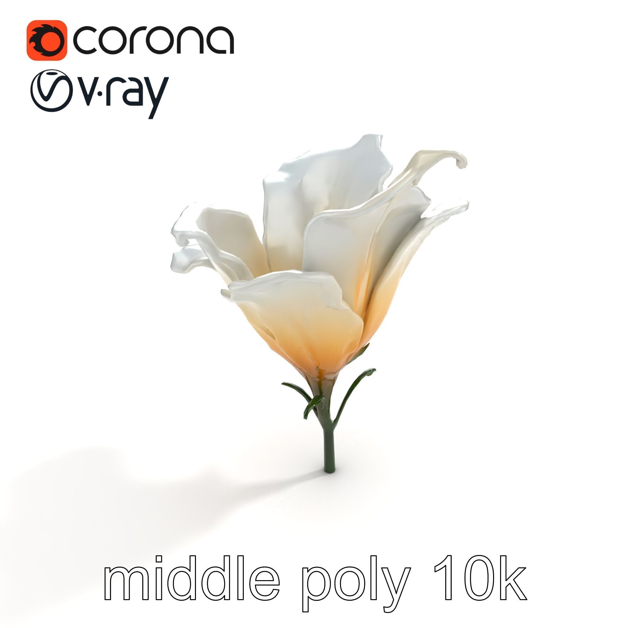 Mystical Swirl Petal Flower model pack Low-poly 3D model_8