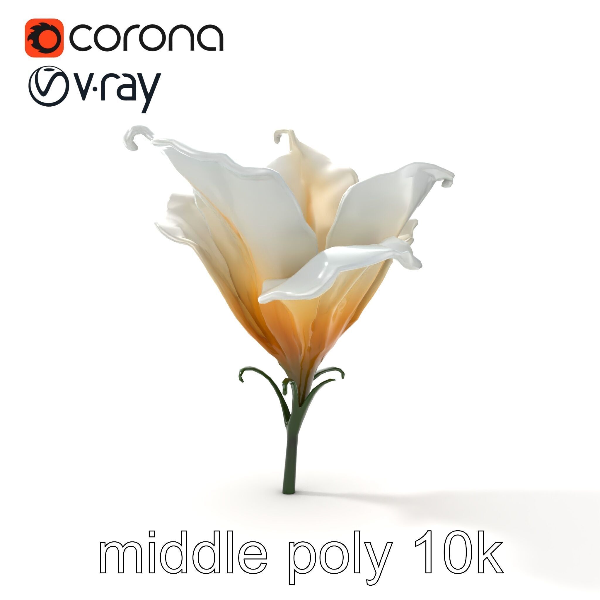 Mystical Swirl Petal Flower model pack Low-poly 3D model_20
