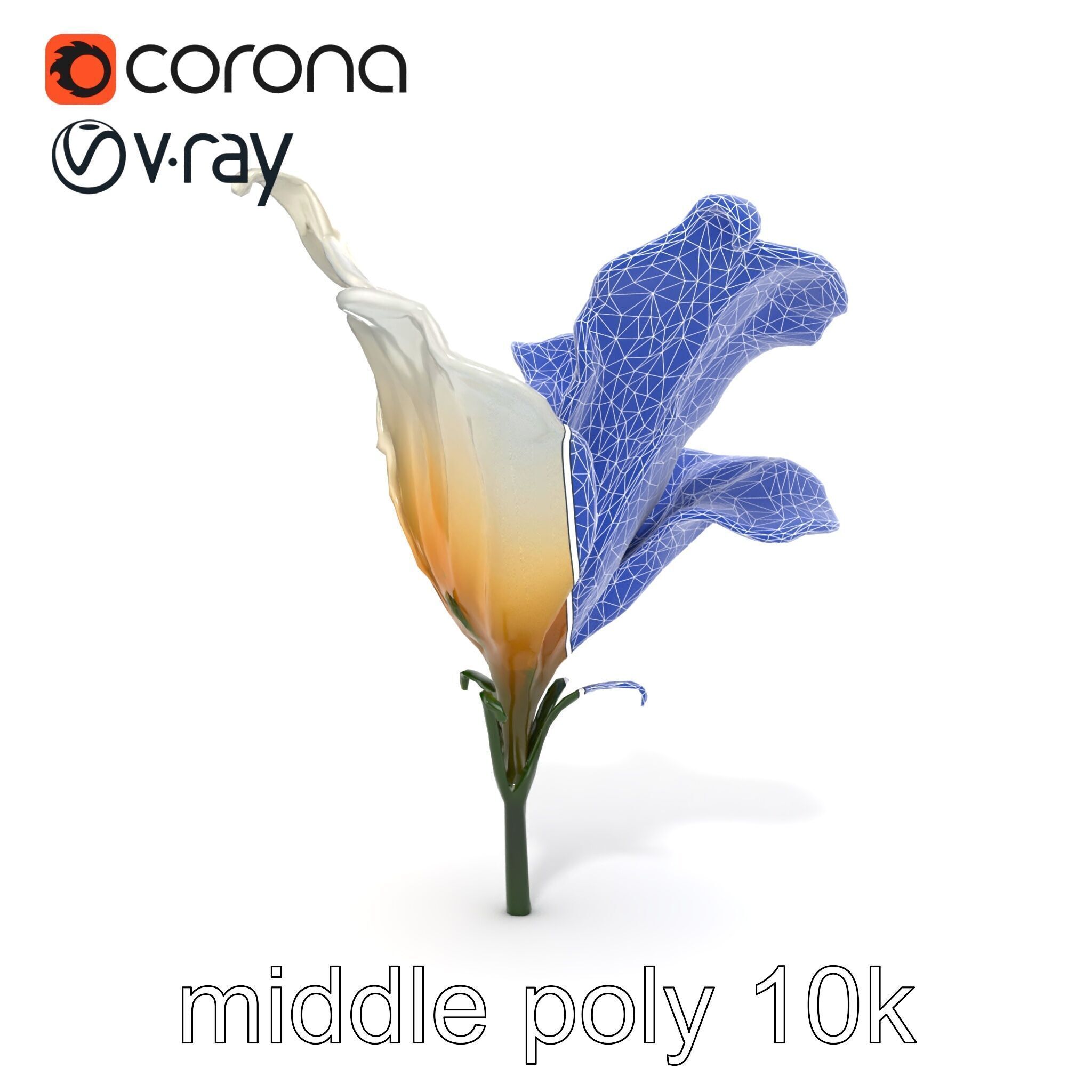 Mystical Swirl Petal Flower model pack Low-poly 3D model_21