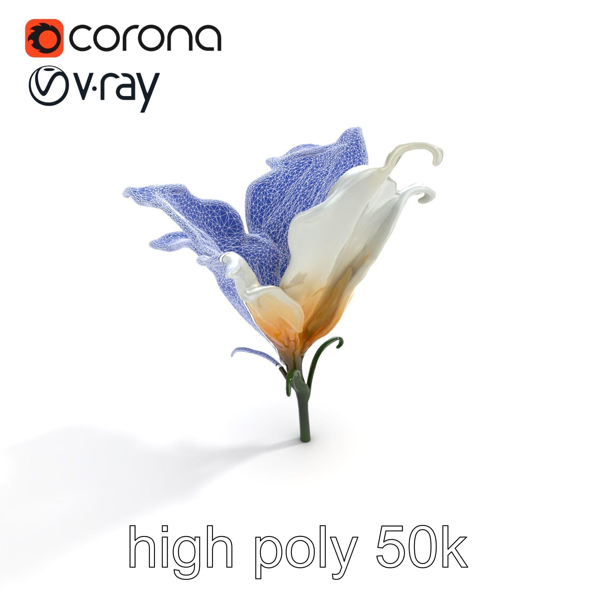 Mystical Swirl Petal Flower model pack Low-poly 3D model_13