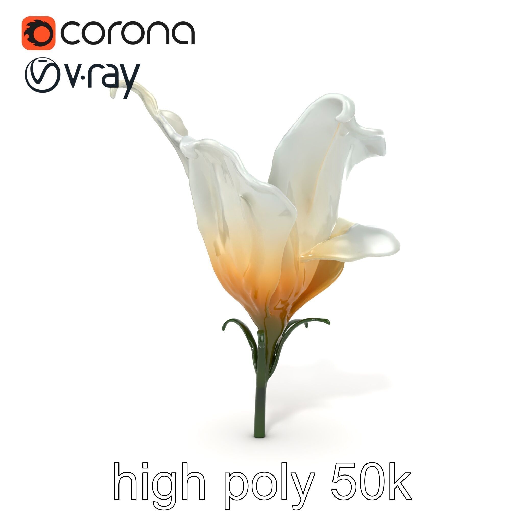 Mystical Swirl Petal Flower model pack Low-poly 3D model_19