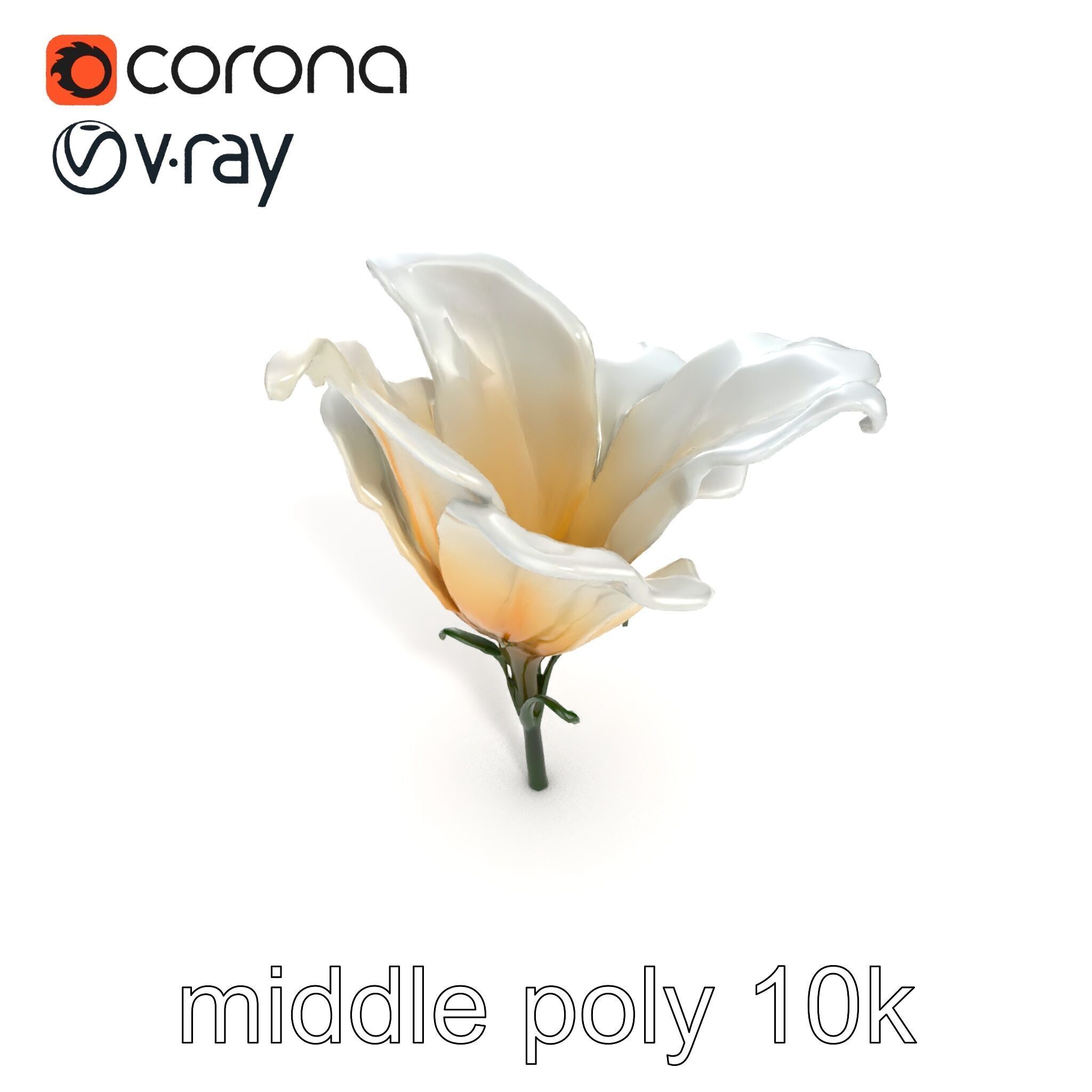 Mystical Swirl Petal Flower model pack Low-poly 3D model_30