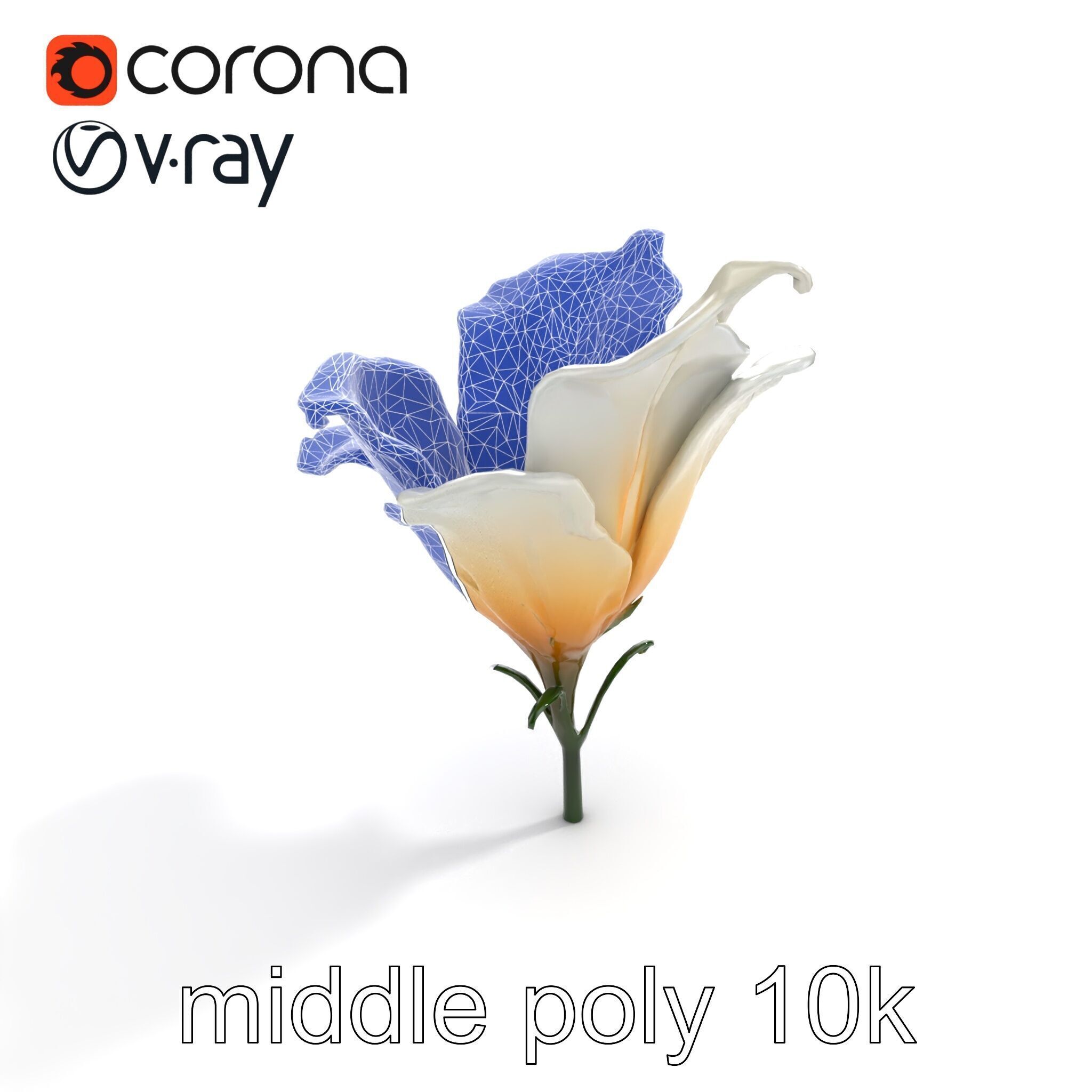 Mystical Swirl Petal Flower model pack Low-poly 3D model_11