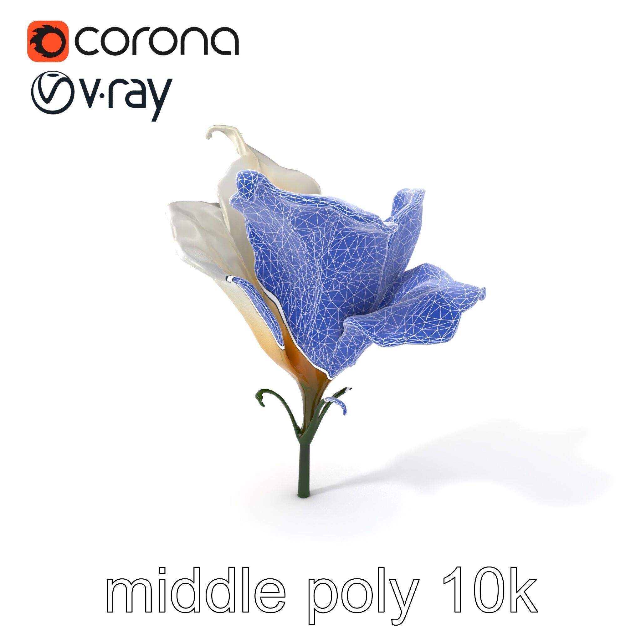 Mystical Swirl Petal Flower model pack Low-poly 3D model_6