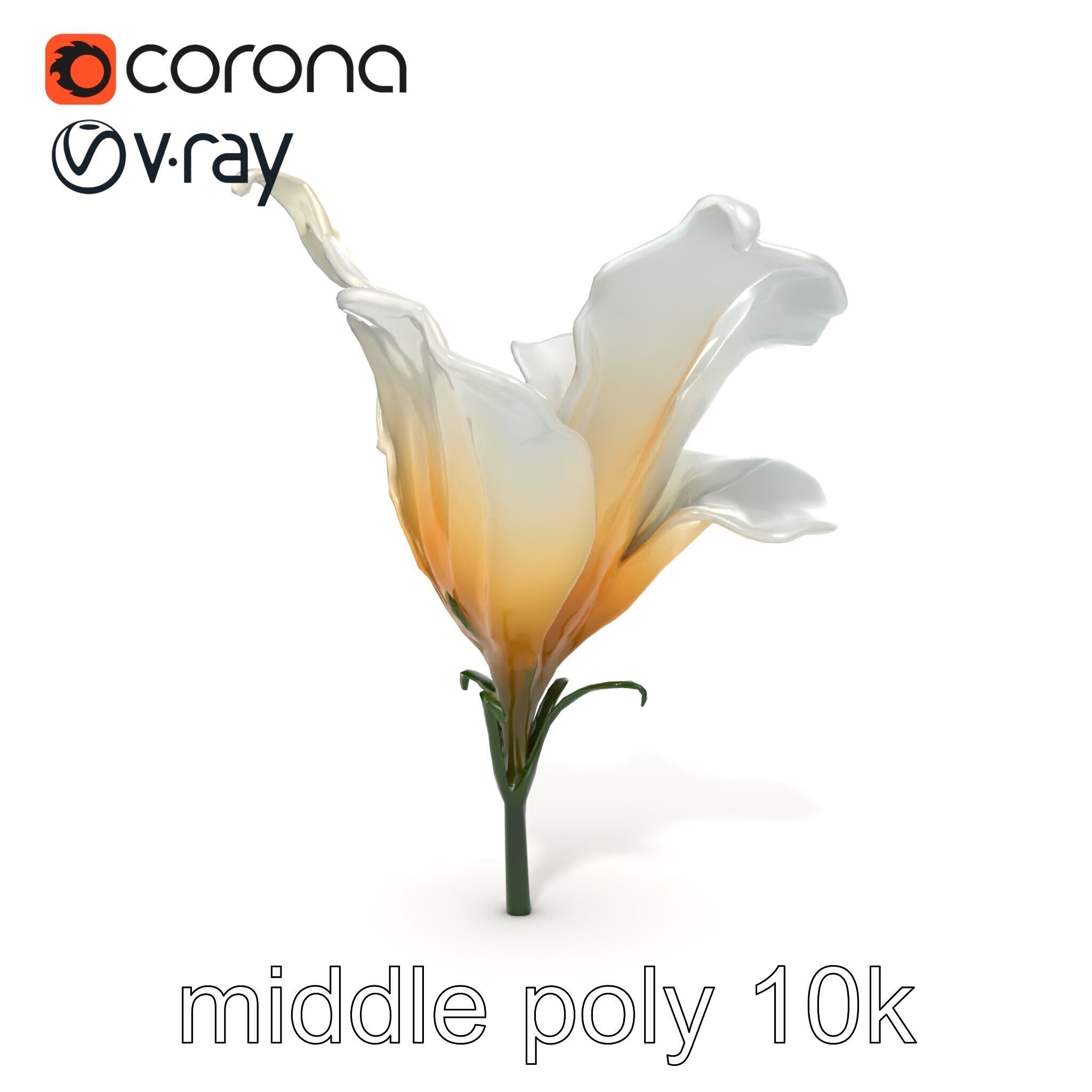 Mystical Swirl Petal Flower model pack Low-poly 3D model_27