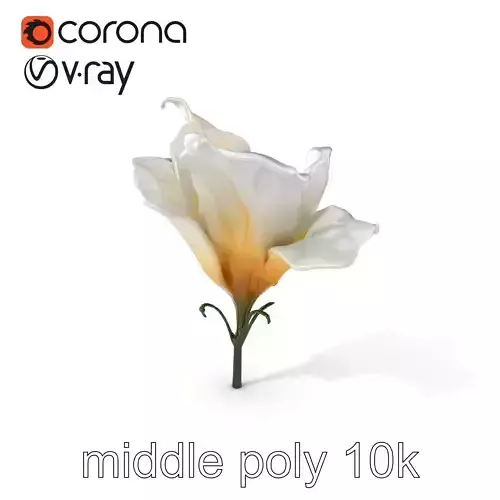 Mystical Swirl Petal Flower model pack