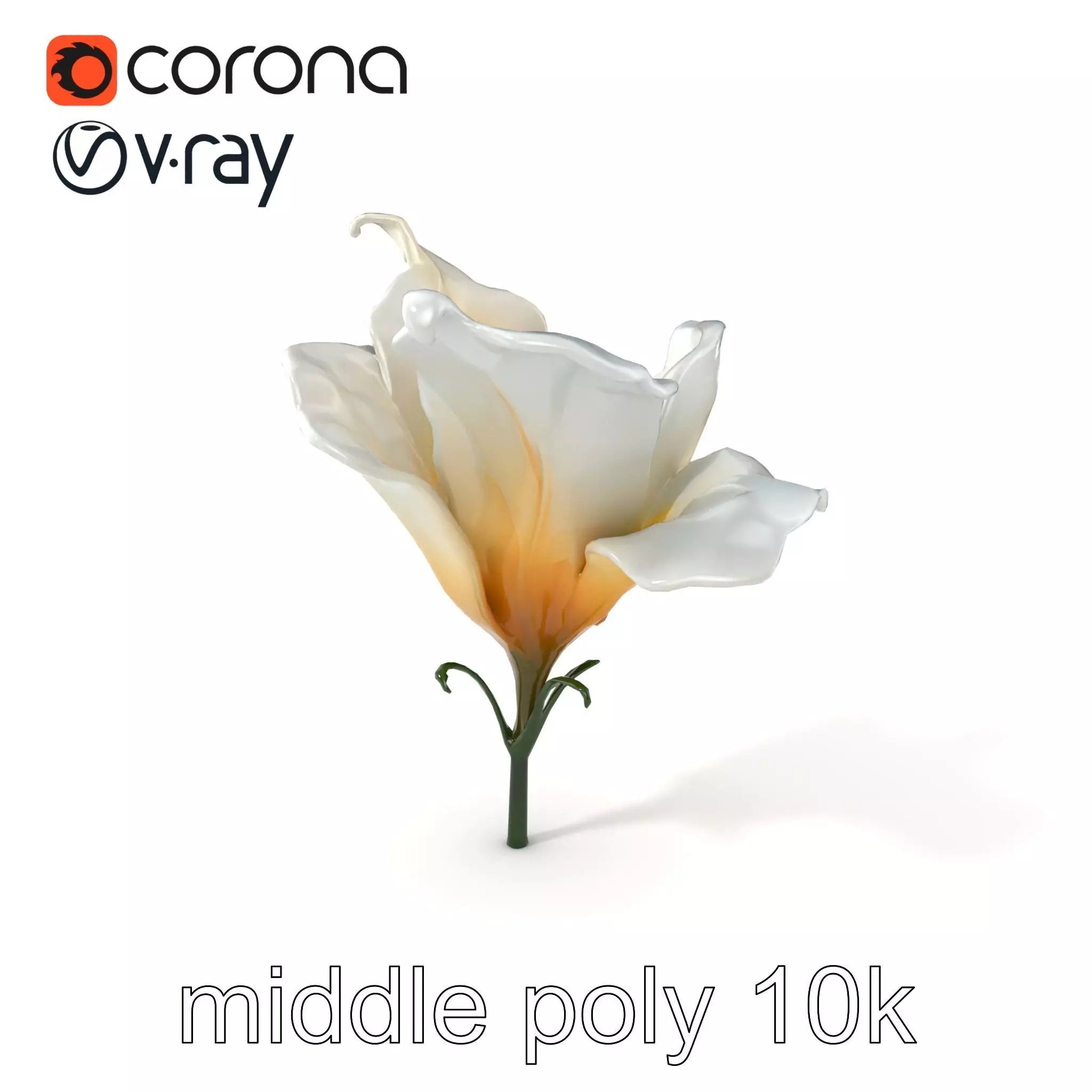 Mystical Swirl Petal Flower model pack Low-poly 3D model_0